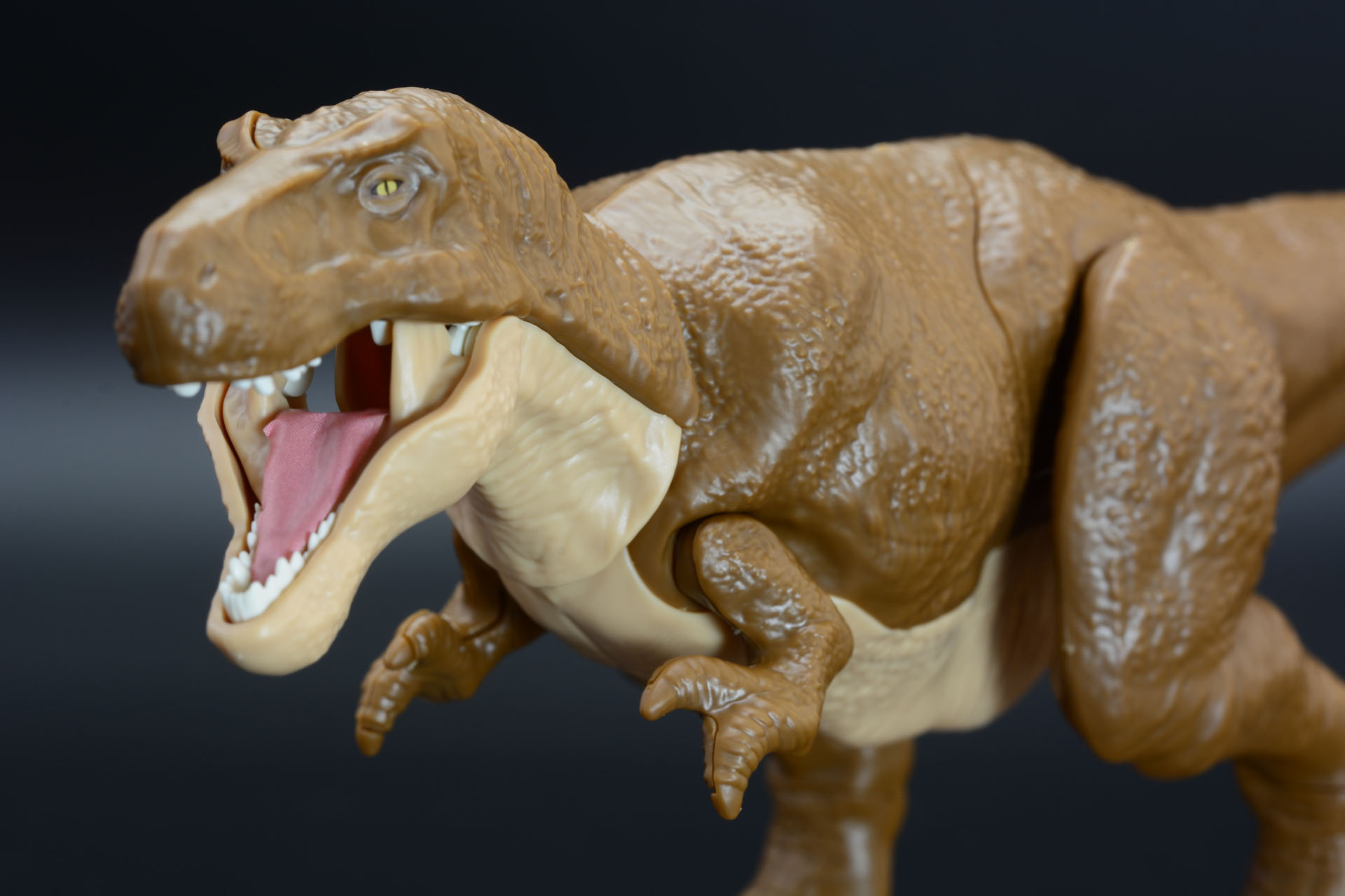 大きく口が開く。ティラノサウルスならではの迫力だ
