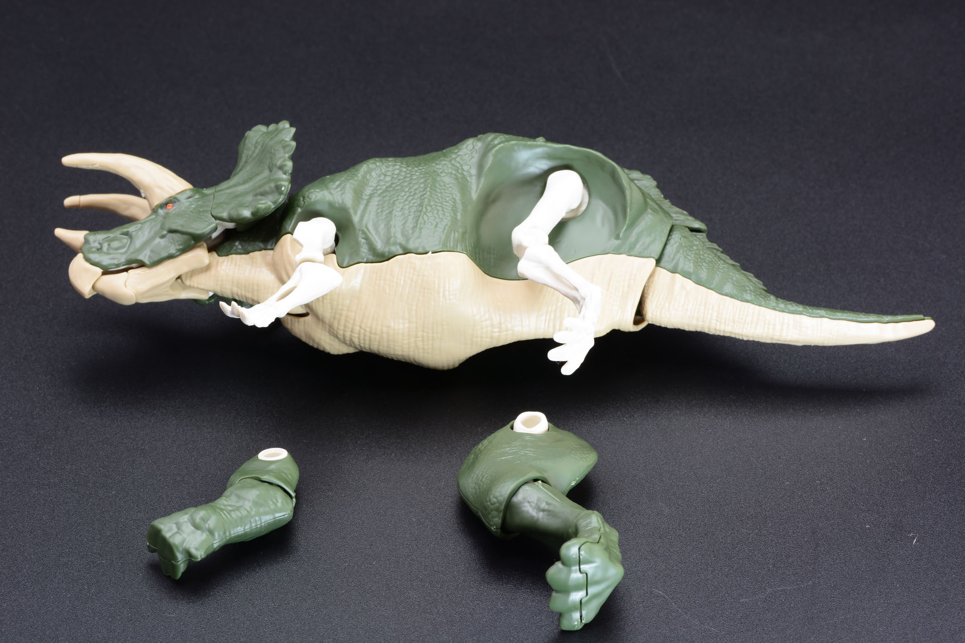 肉付けしていくことでトリケラトプスの姿が現れていく