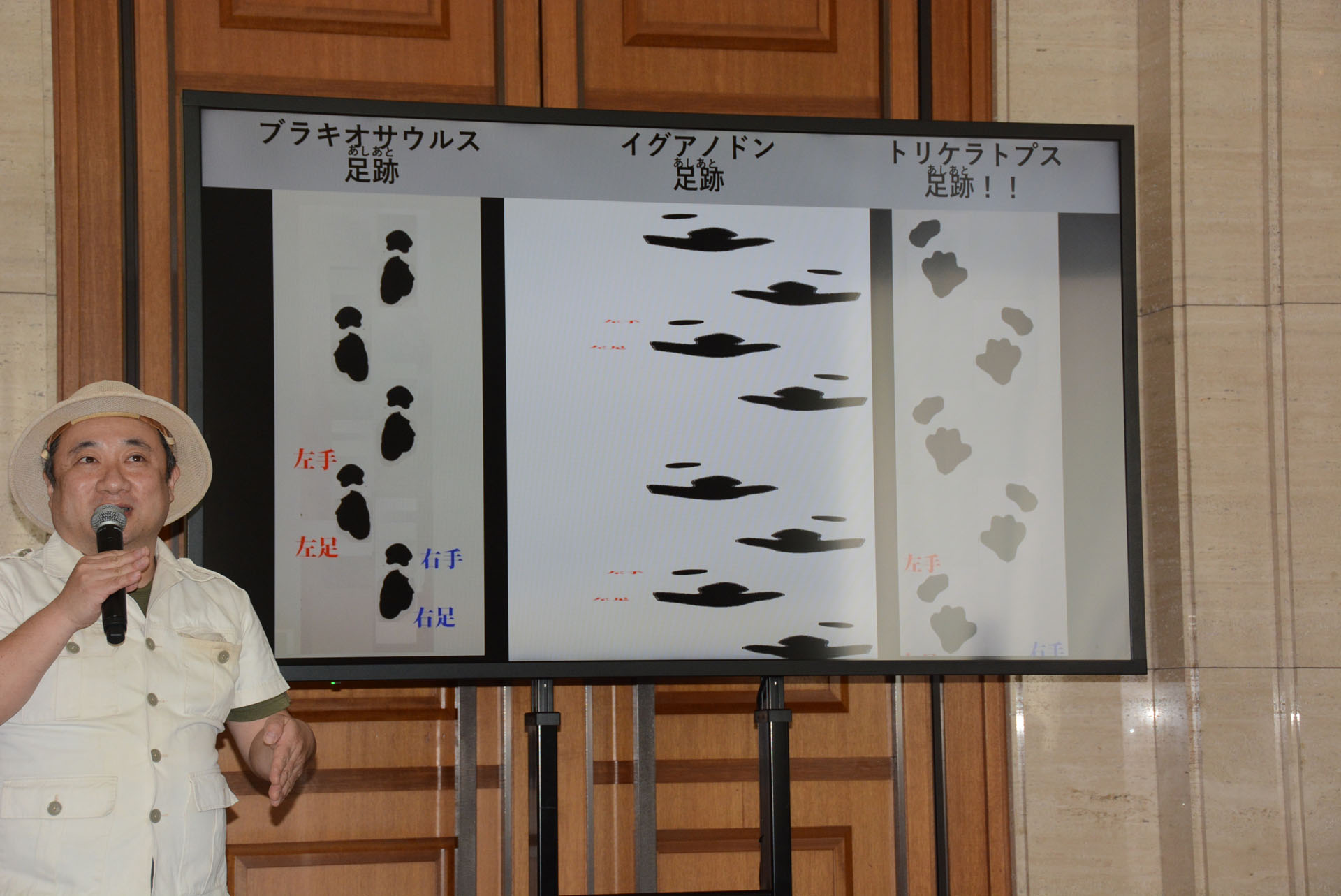 独特のトリケラトプスの足跡