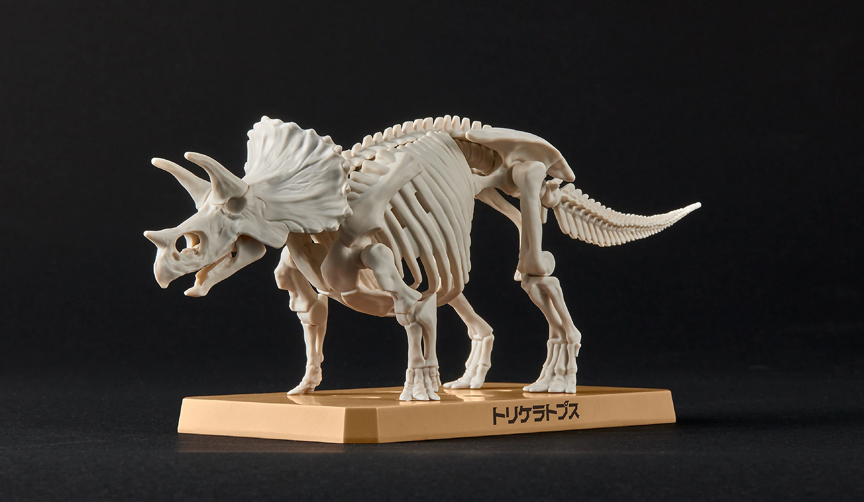 「プラノサウルス トリケラトプス」、1月21日発売、価格は1,595円