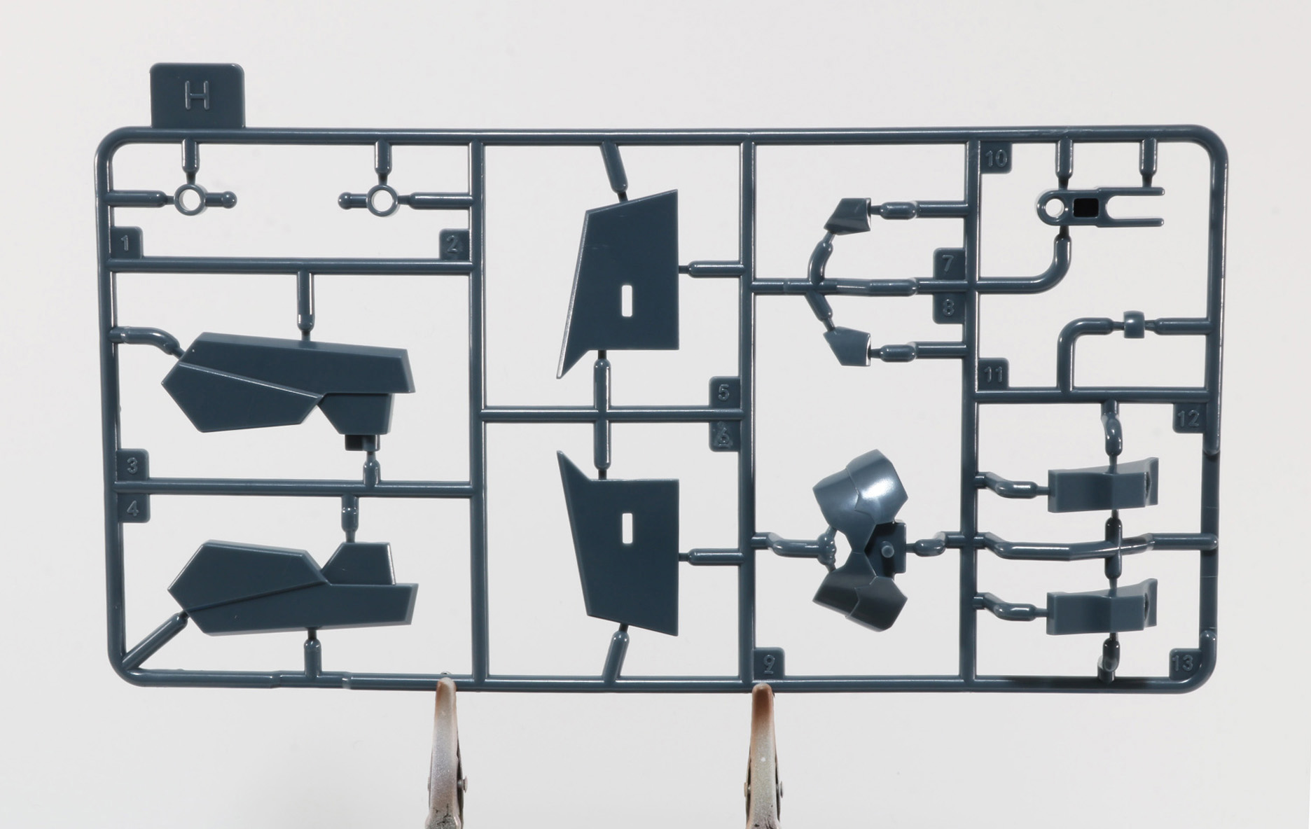 腹部や背部の刃の基部などになるグレー