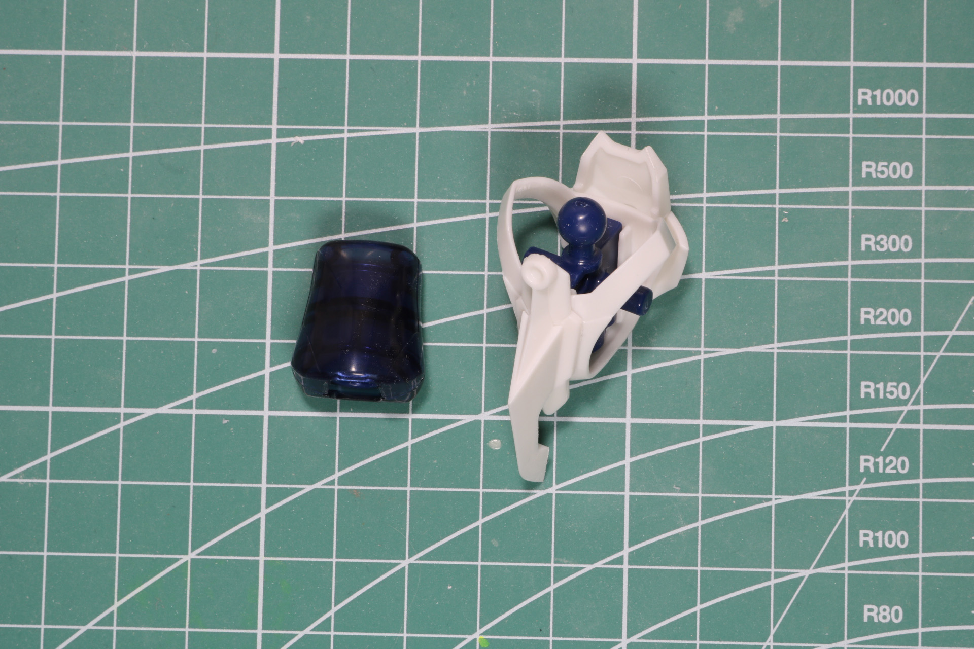 腹部と腰部