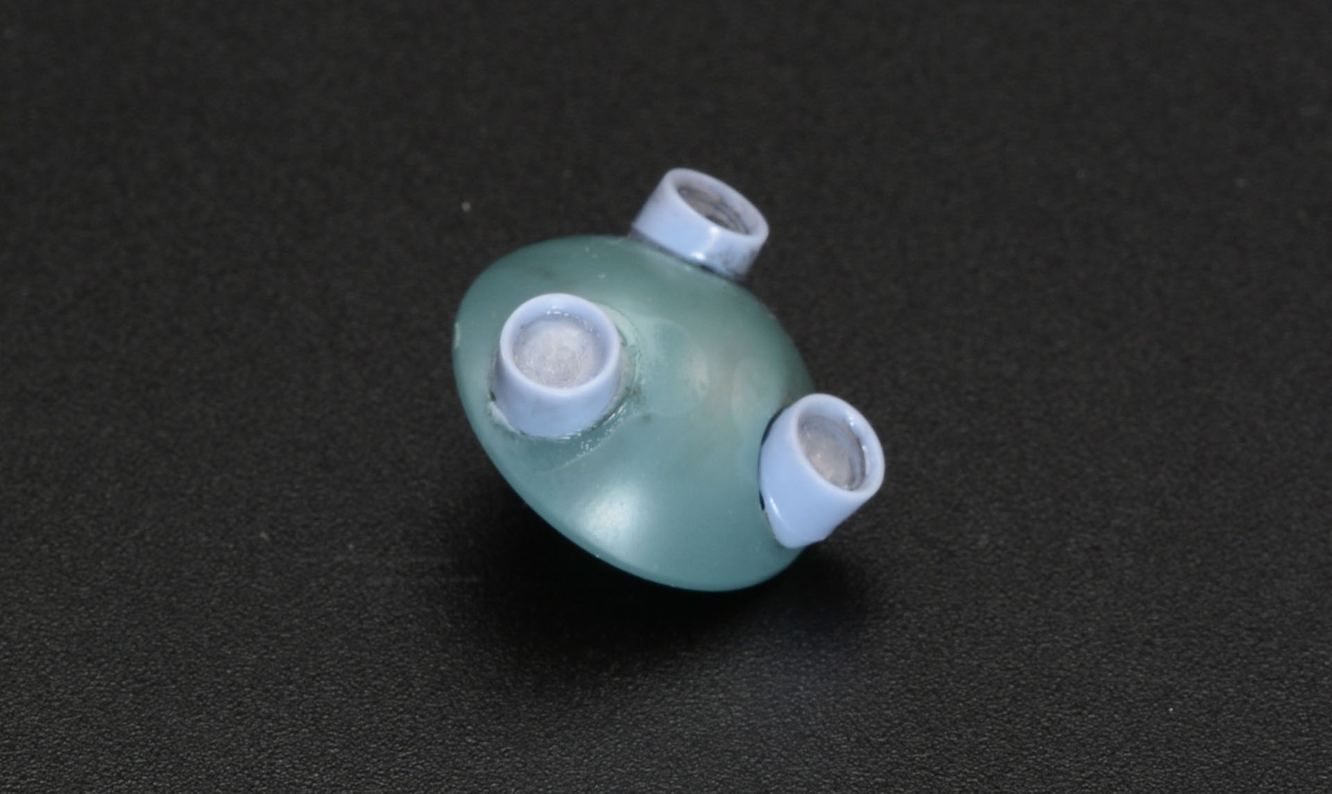 ダイビングビートルの顔は倍率が切り替えられる顕微鏡のようなデザイン