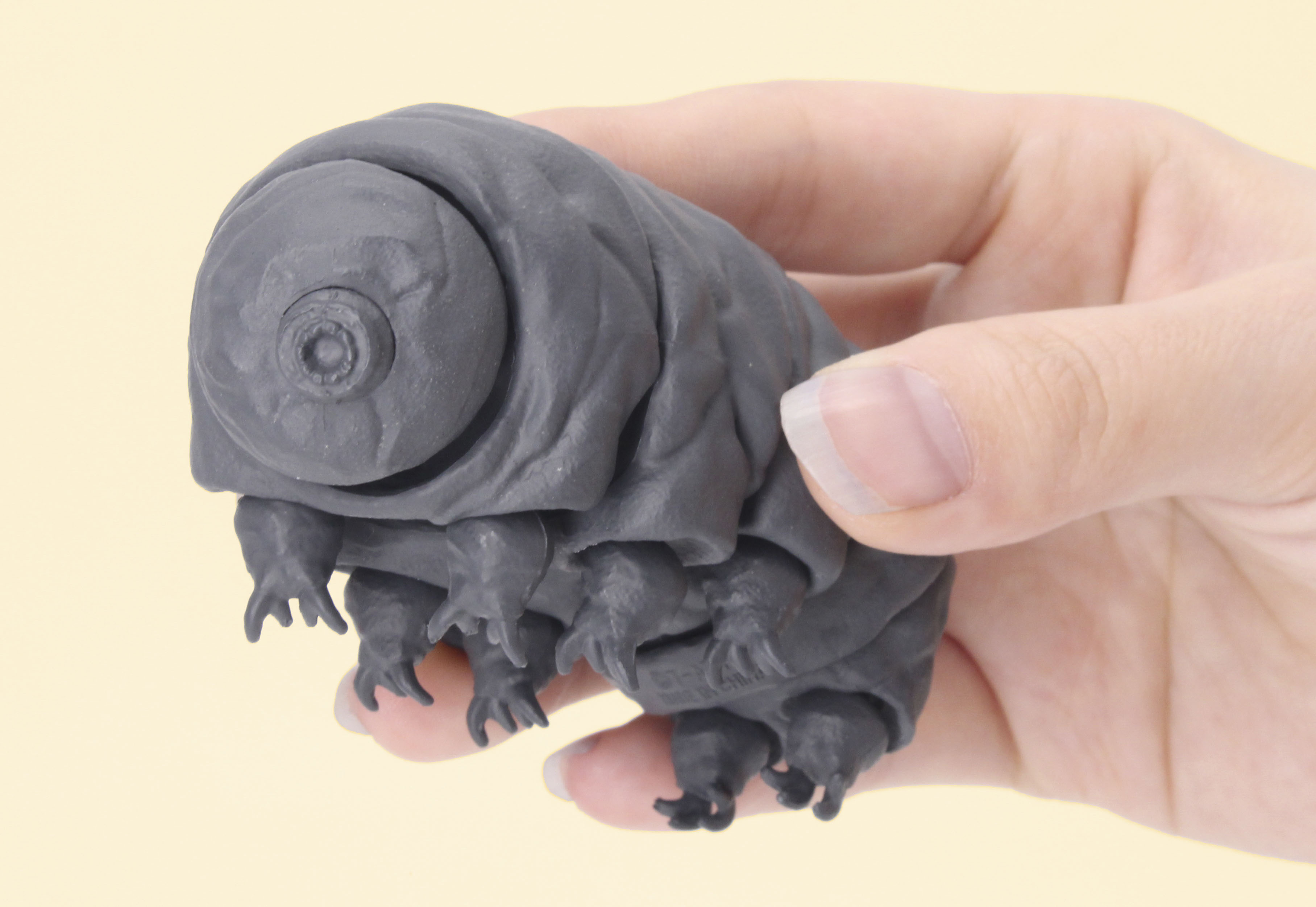 原寸対比10,000%! 「クマムシ」のカプセルフィギュアが5月に発売 - HOBBY Watch