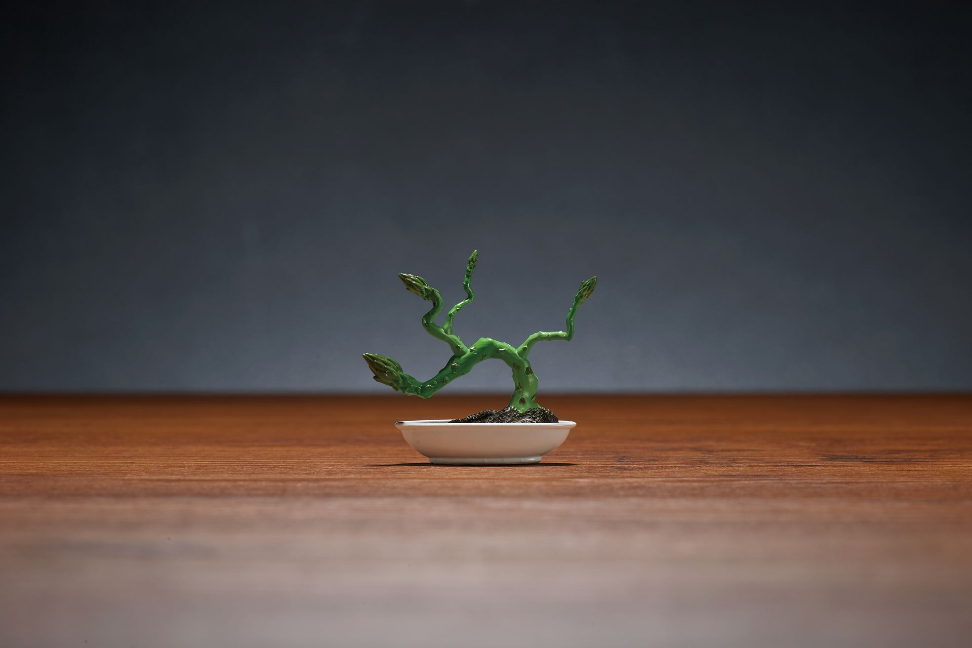 「あすぱらがす」