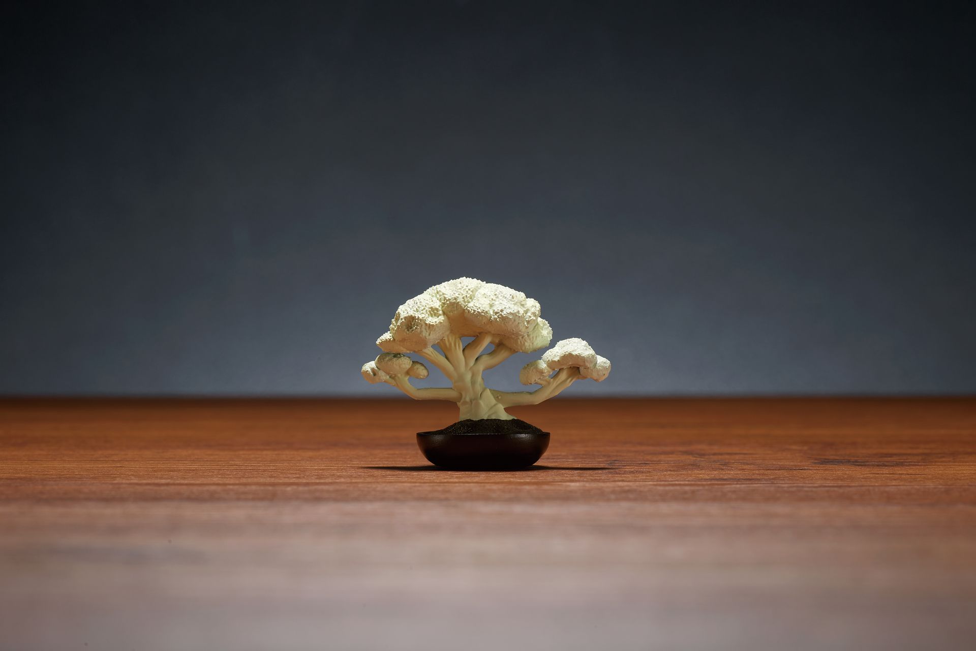 「かりふらわー」