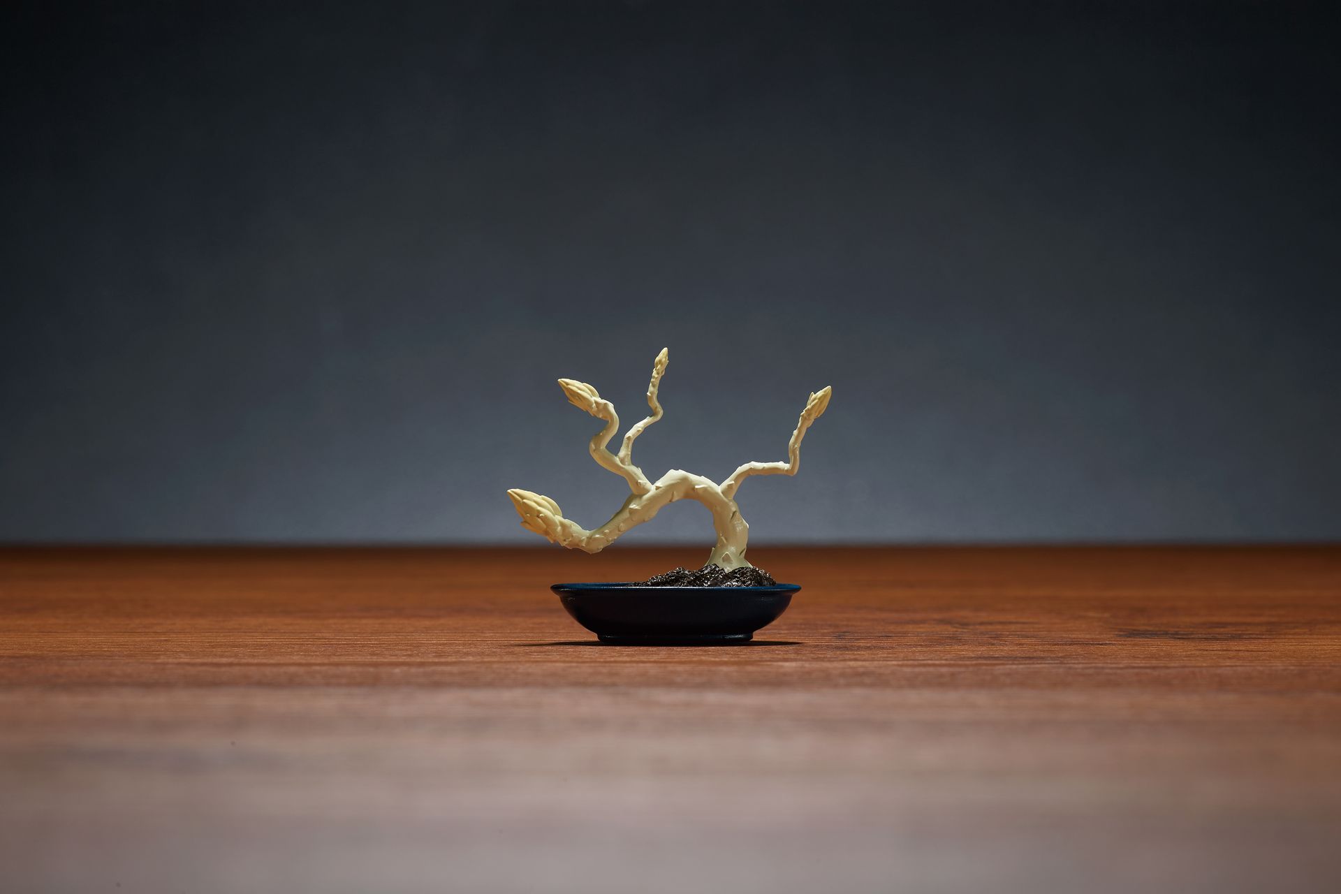 「ほわいとあすぱら」