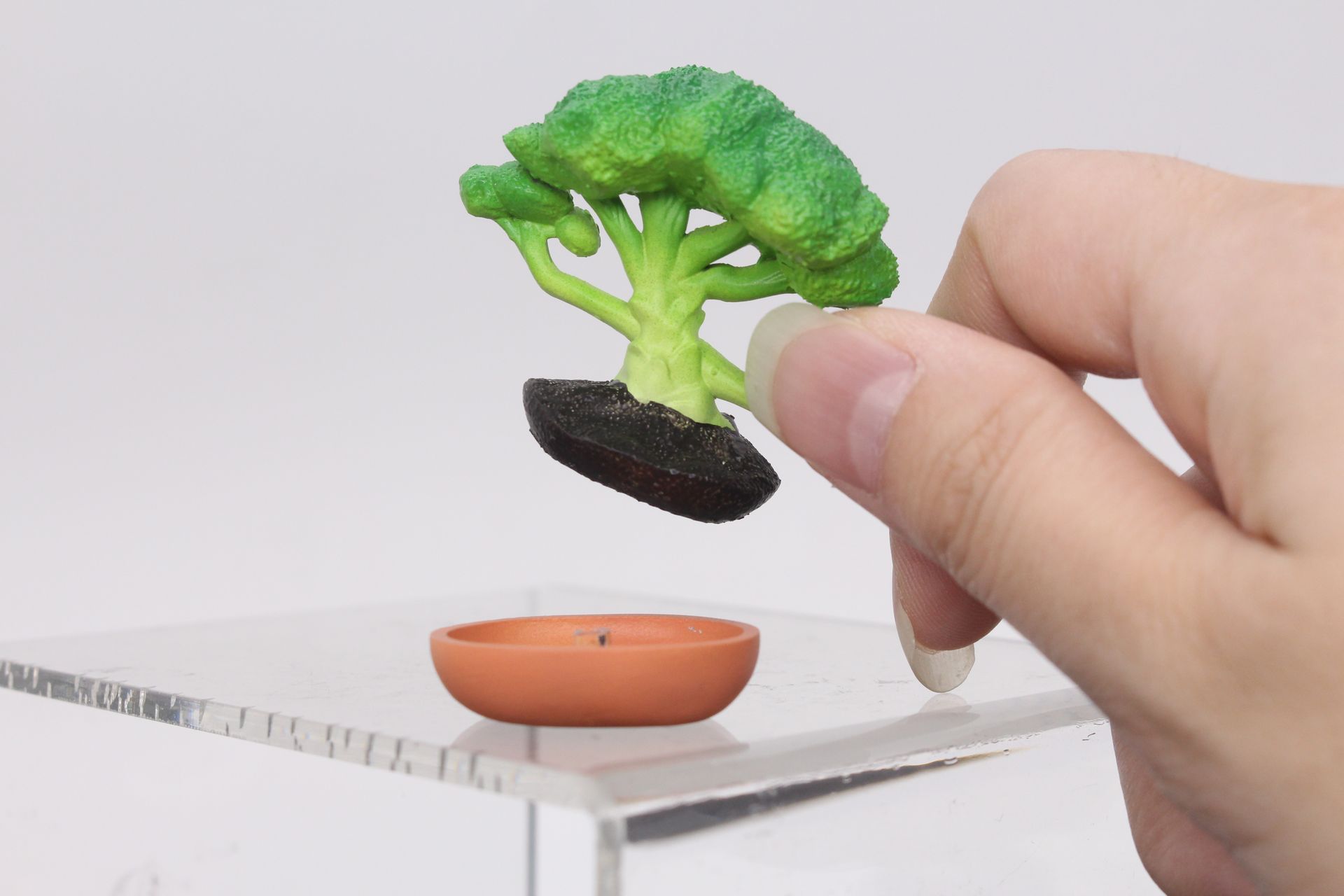 鉢は取り外せる