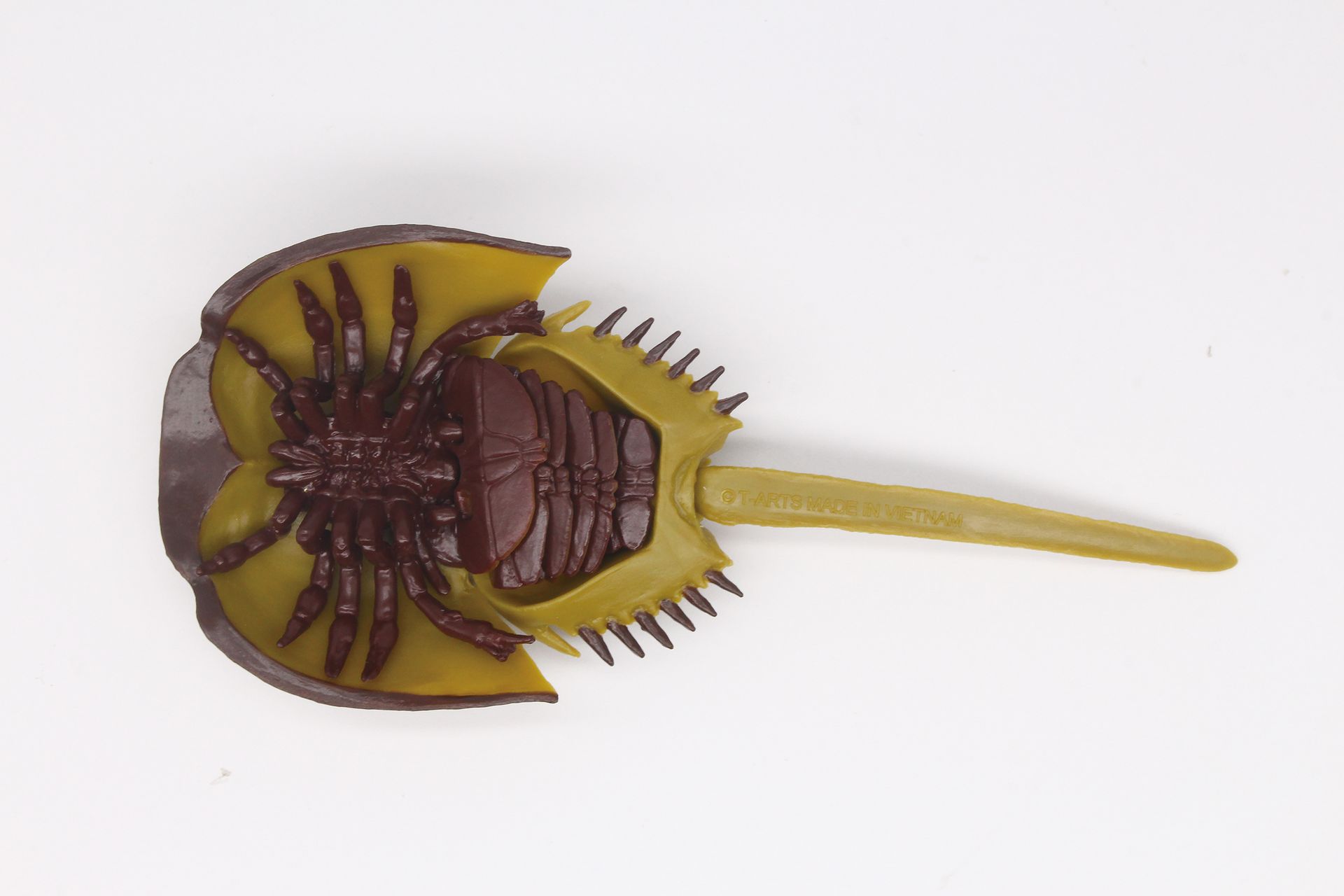 尾部可動/約80mm