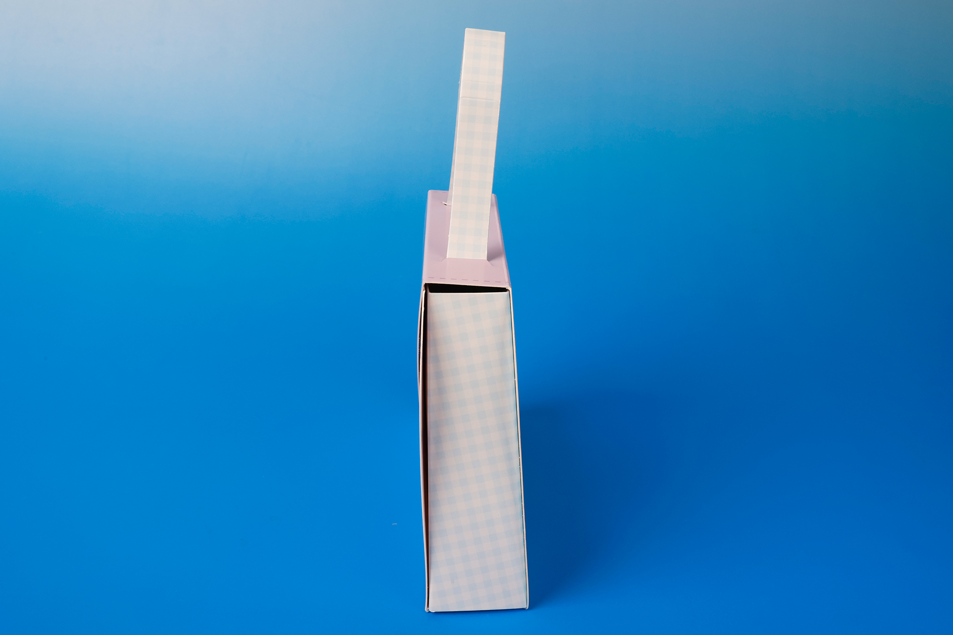 そこそこ厚みもあるので、重ささえ考慮すればある程度のものは入る