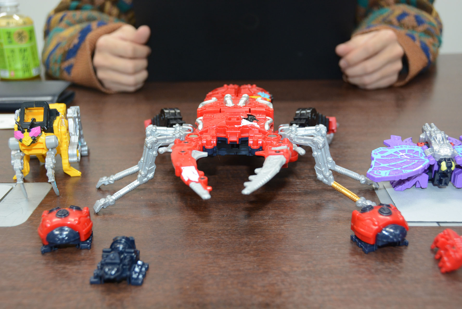 他のシュゴットに較べると、ゴットクワガタの存在感は大きい