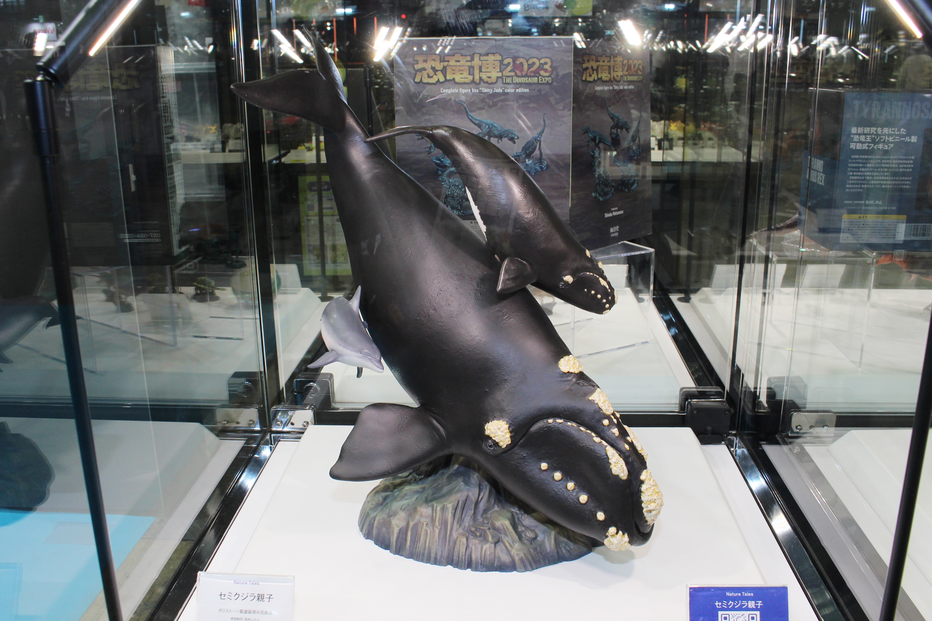 「Nature Tales ザセミクジラ親子」