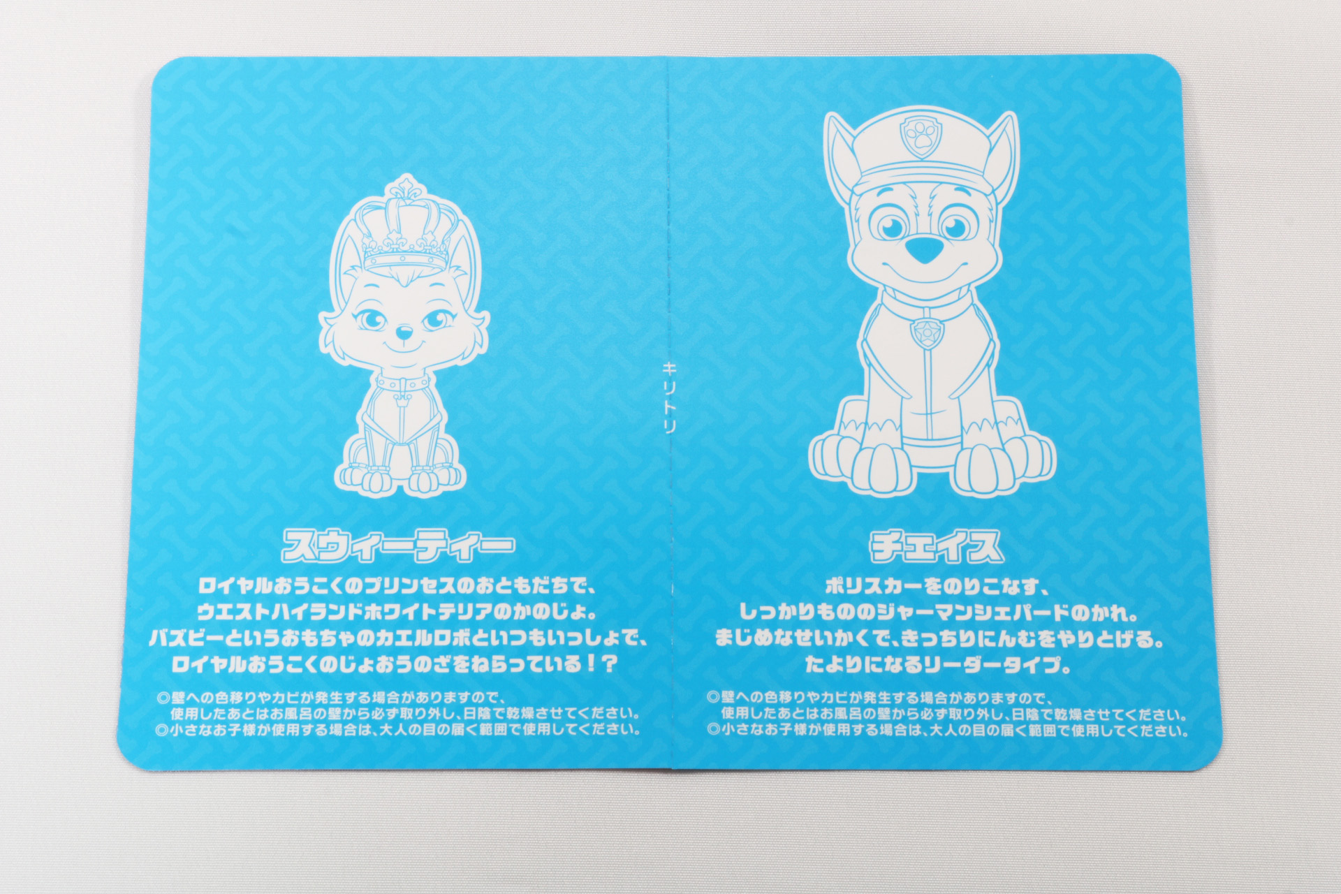 裏面にはそれぞれの紹介が記載されている