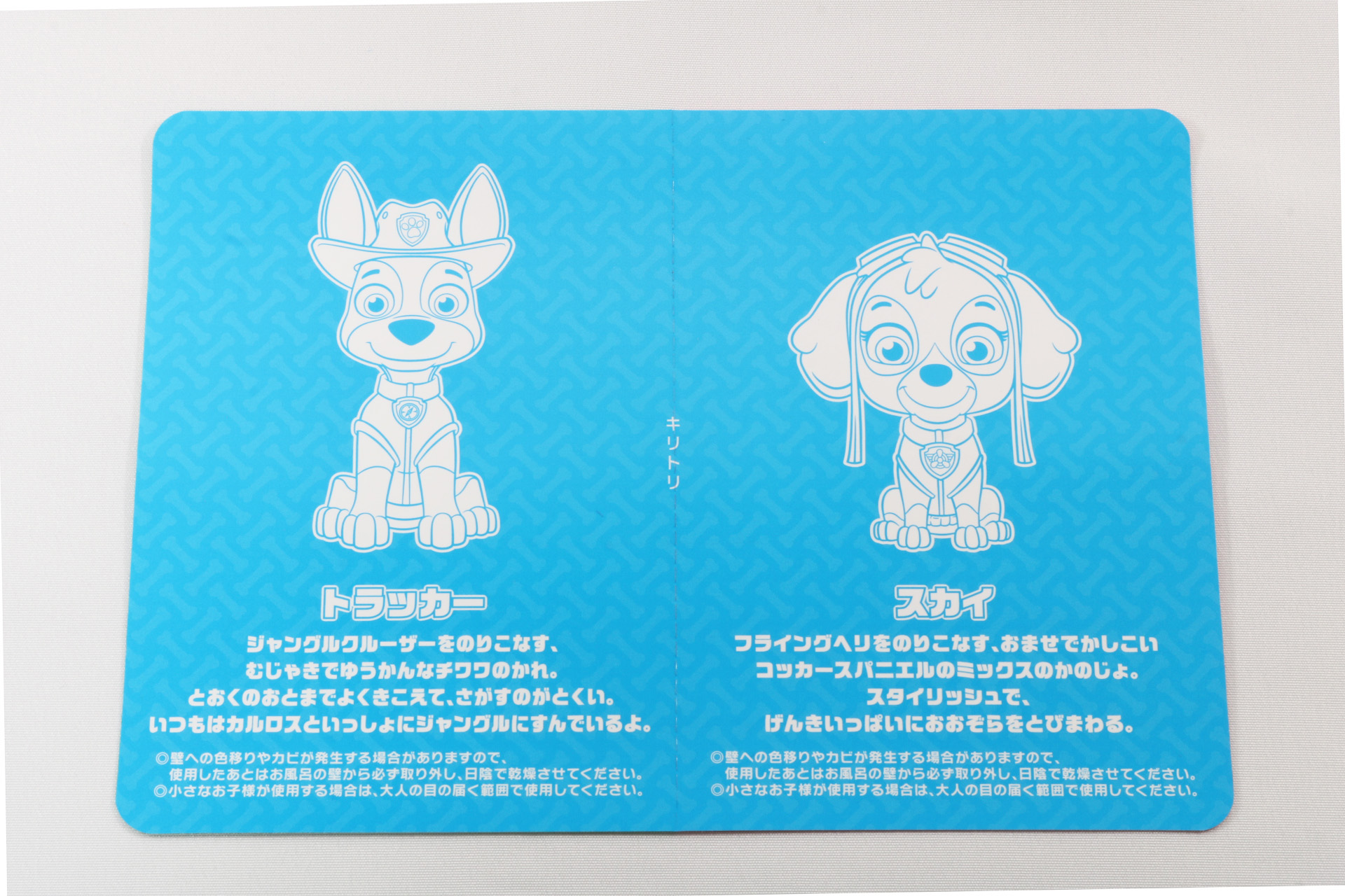 裏面にはそれぞれの紹介が記載されている