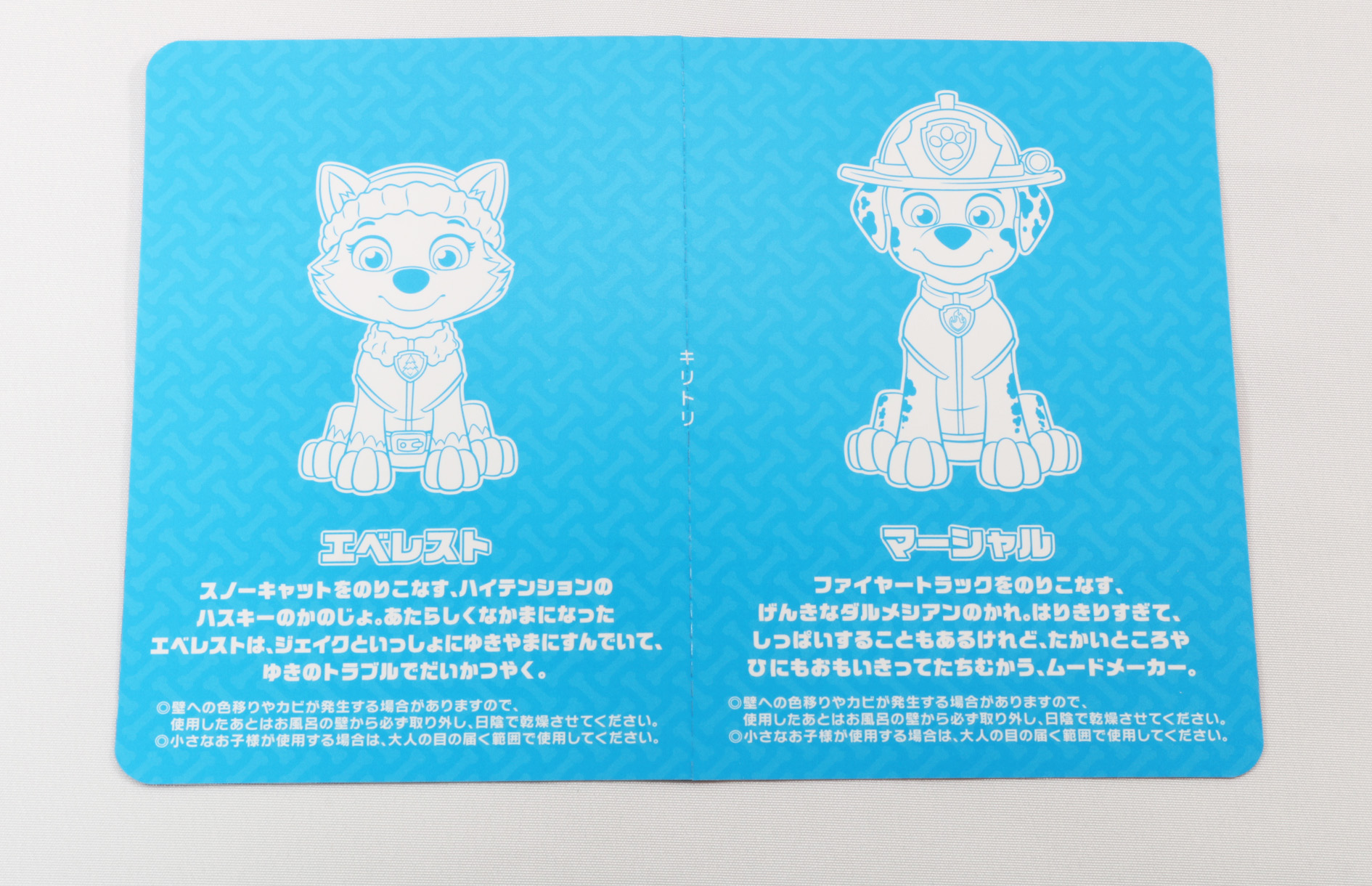 裏面にはそれぞれの紹介が記載されている