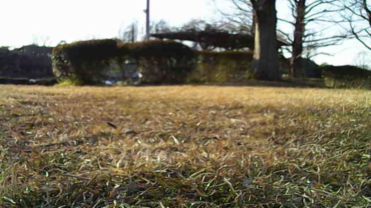 画角はあまり広くない