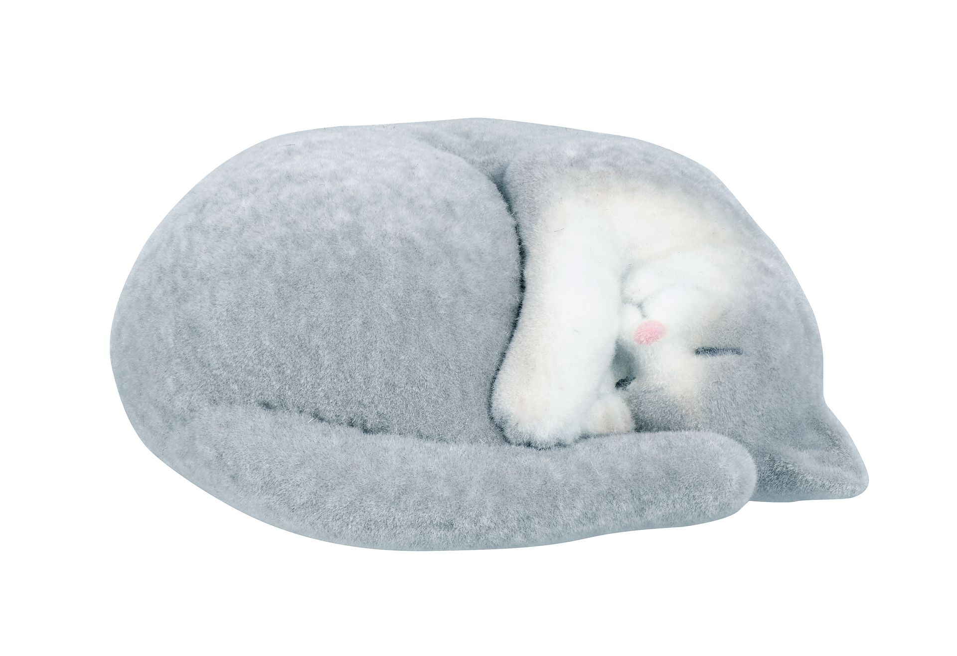 グレーハチワレ