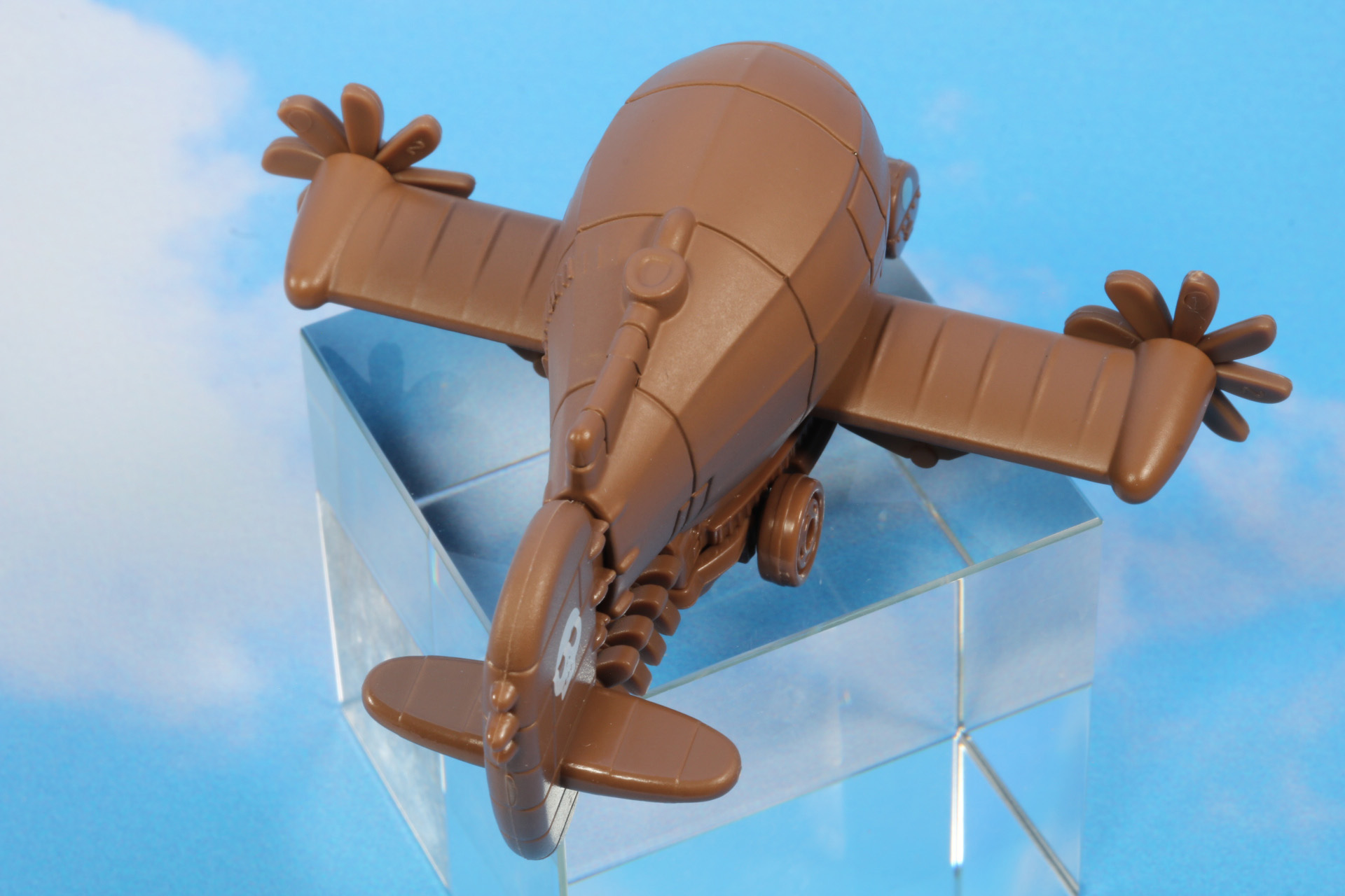 雲の上を行く姿も