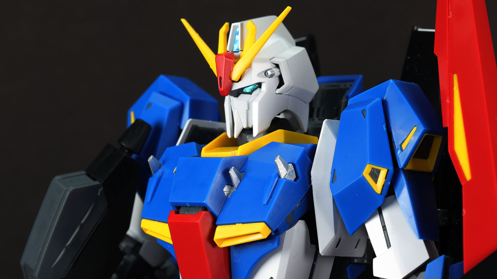 光が当たれば鋭い眼光を示す