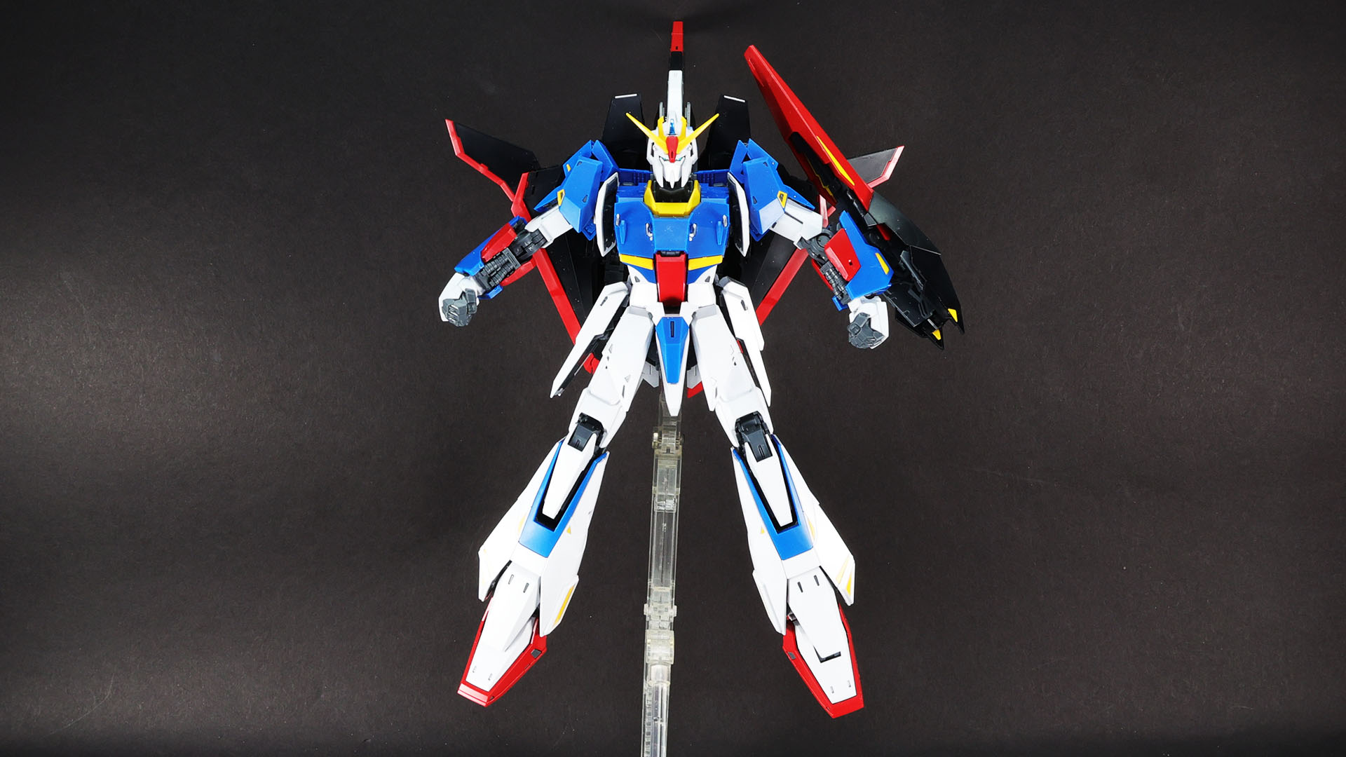 ゼーターが……どうしたんだ!?