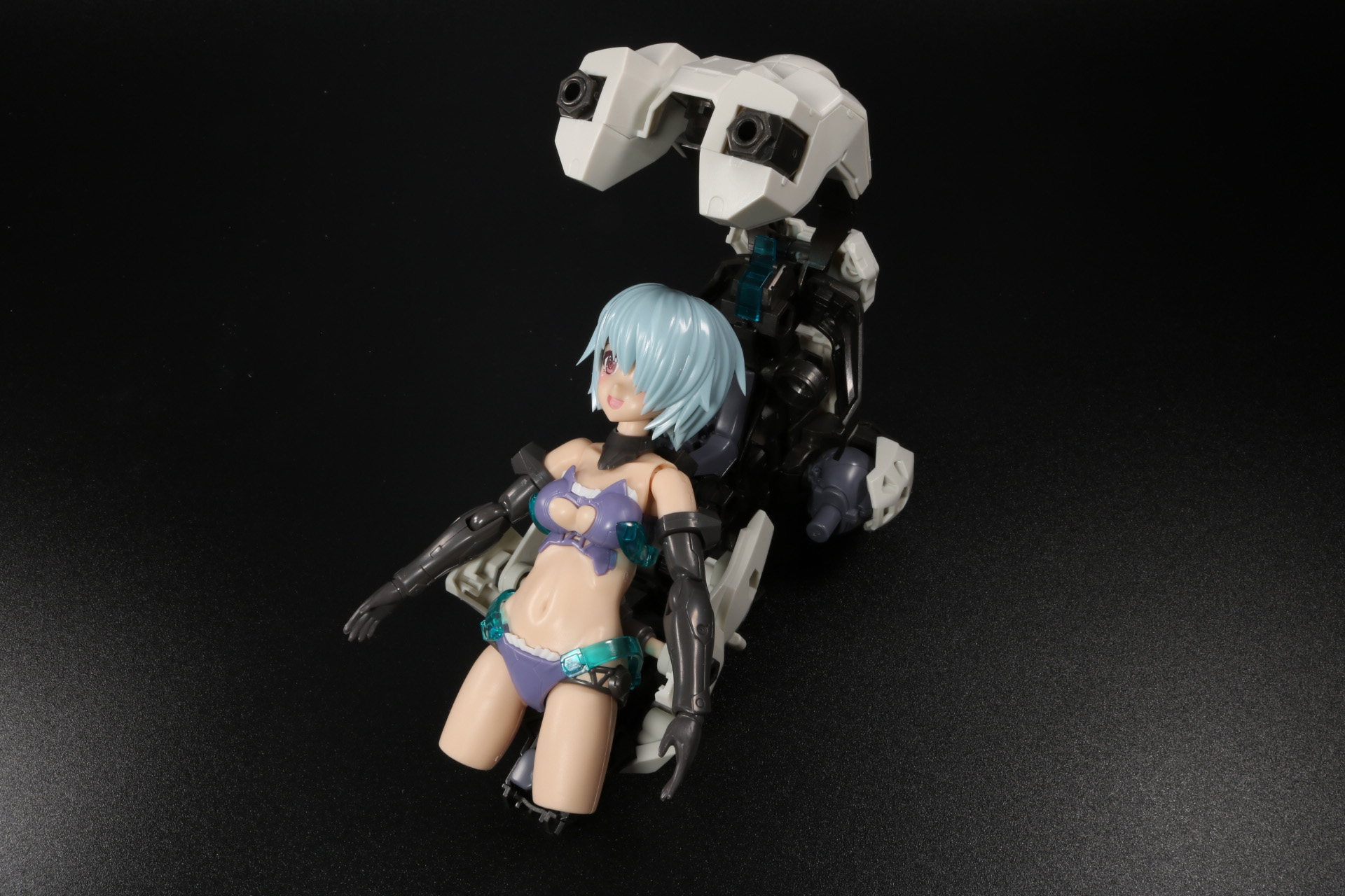 本体を合わせることで外装にすることができる