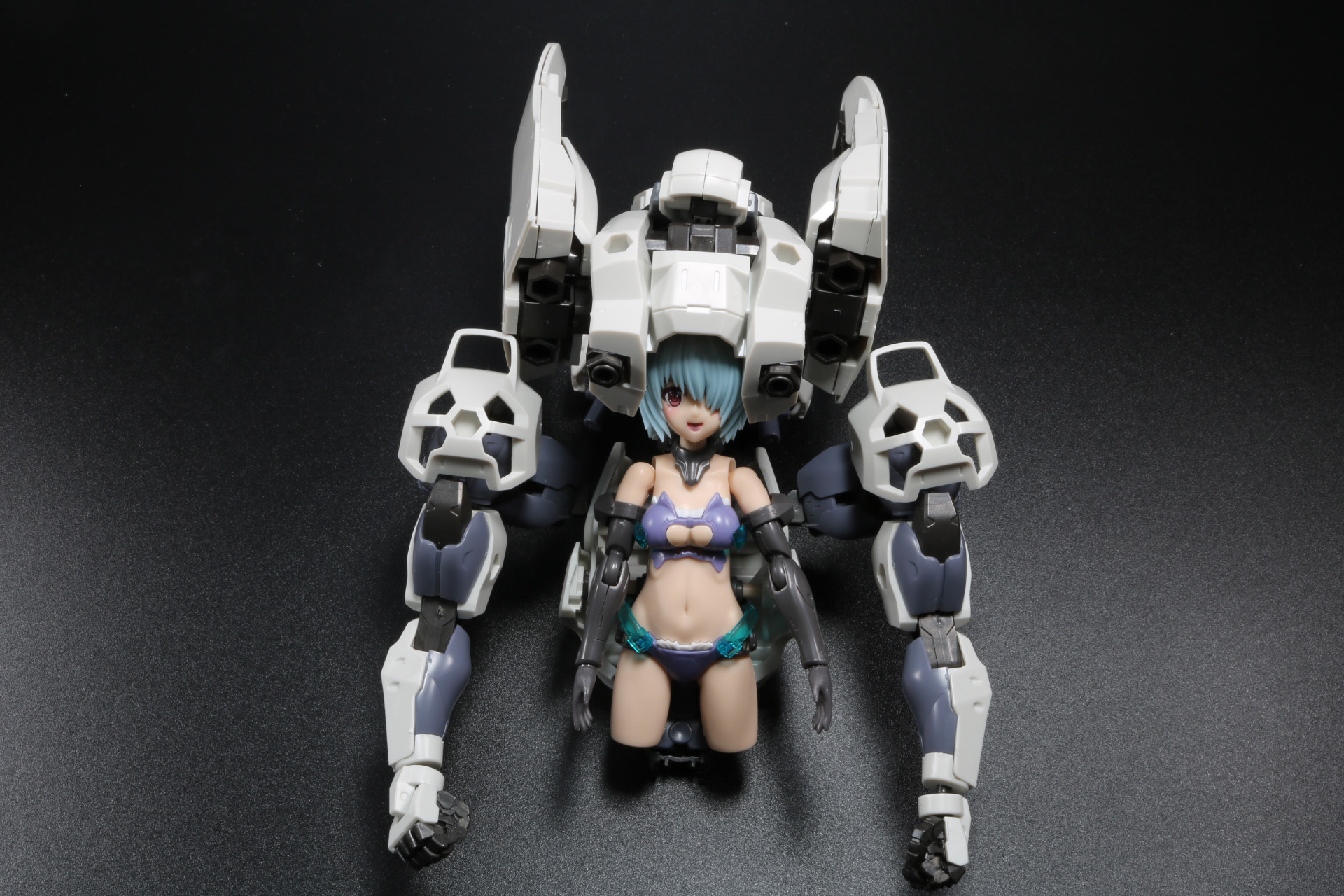 頭部左右の隙間を覆い大型のヘルメットのような趣になる