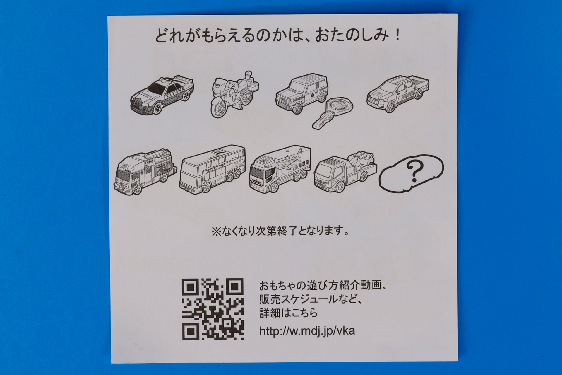 同梱されている説明書。ここに書かれているのは、全種類の共通のもの