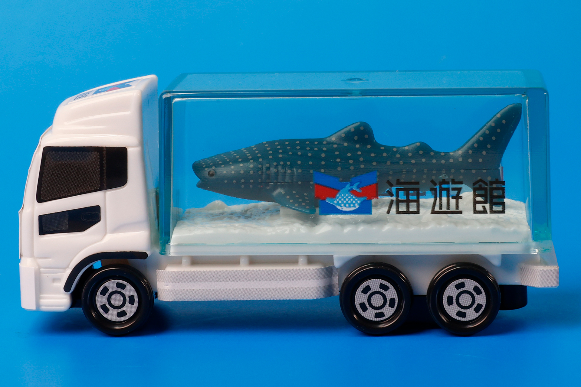 荷台の水槽に入ったジンベイザメも大迫力だ