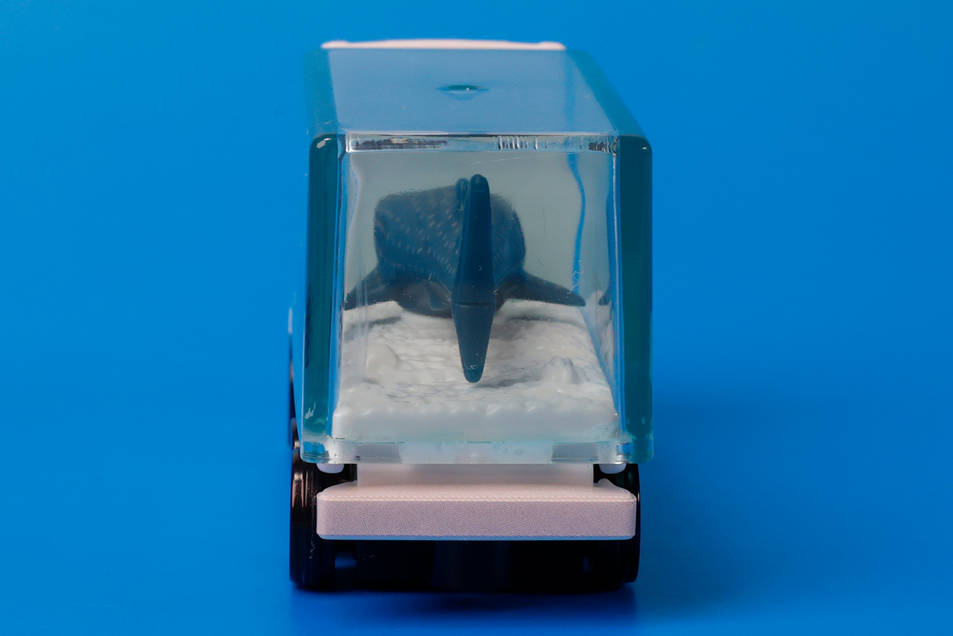 水槽部分は背面側からも透けて見える