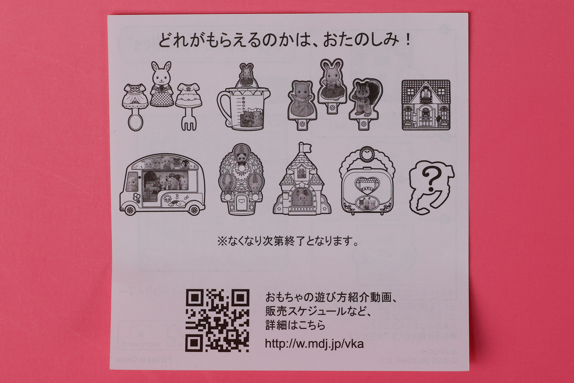 同梱されている説明書。こちらは全種類に共通した内容が書かれている