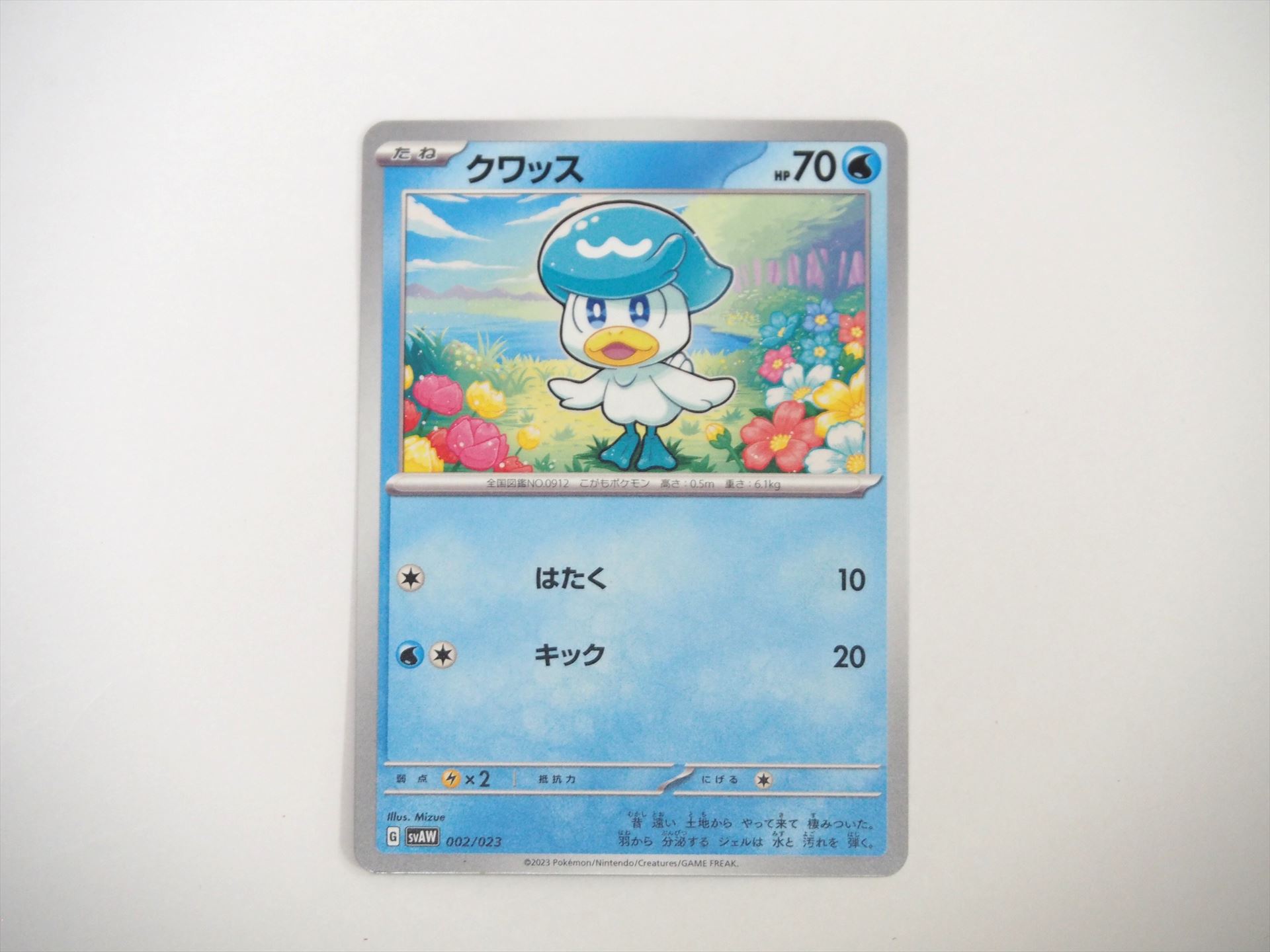 バトルの主役となる「ポケモン」。右上の数値がHPで、右上のマークがタイプを表している