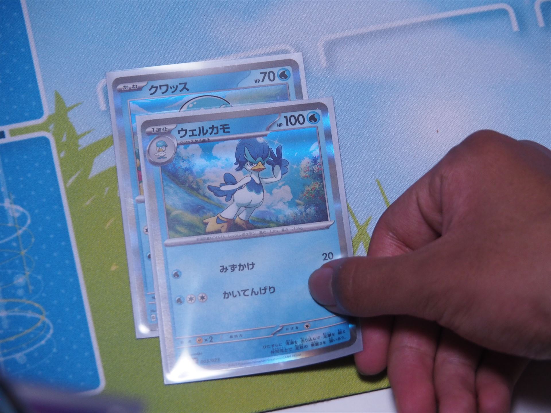 ポケモンを進化させる