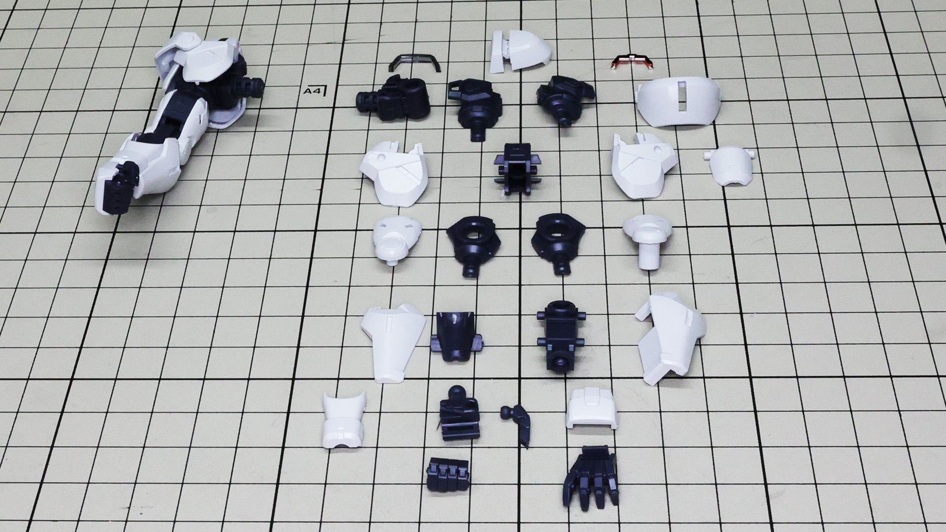 フレームが一直線に並ぶ構造がよくわかります
