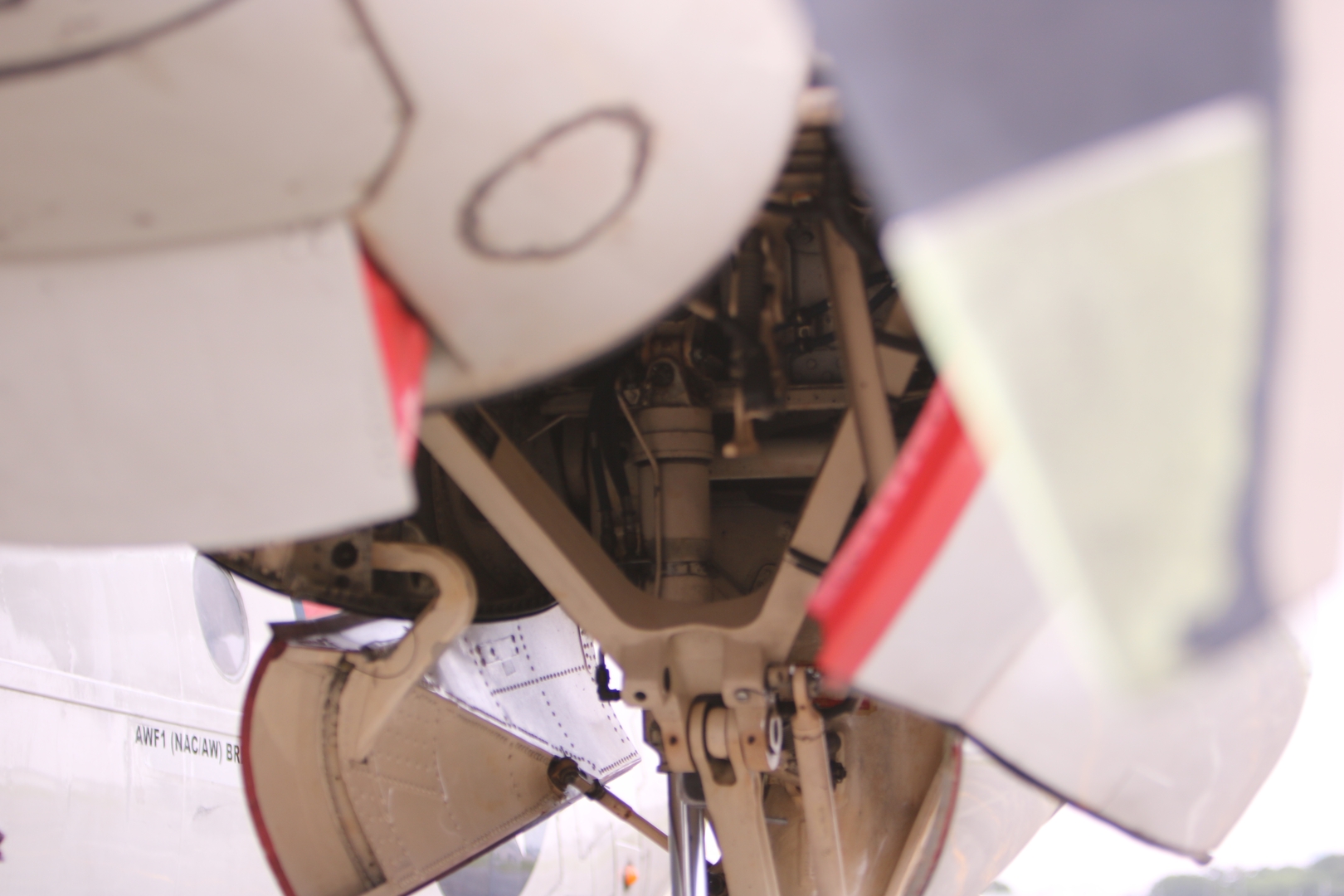 ずらっと並んだエンジンノズルと尾翼からは力強さを感じる