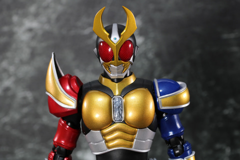 レビュー】「S.H.Figuarts（真骨彫製法） 仮面ライダーアギト