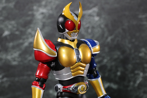 レビュー】「S.H.Figuarts（真骨彫製法） 仮面ライダーアギト