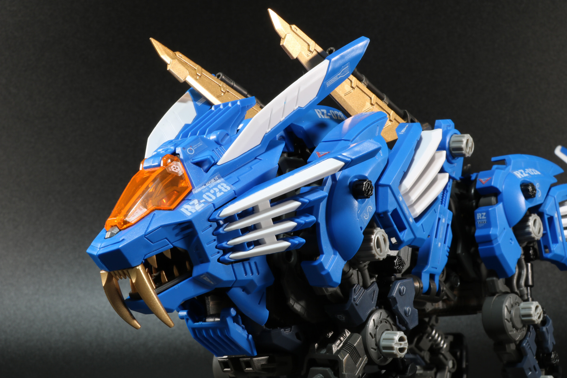 前から見ても展開している様子がうかがえる