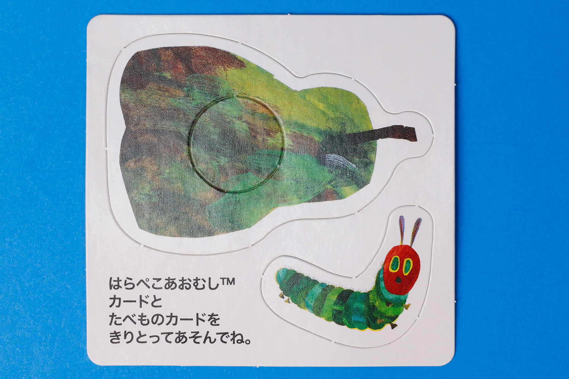 「なしとあおむしのカード」も付属している
