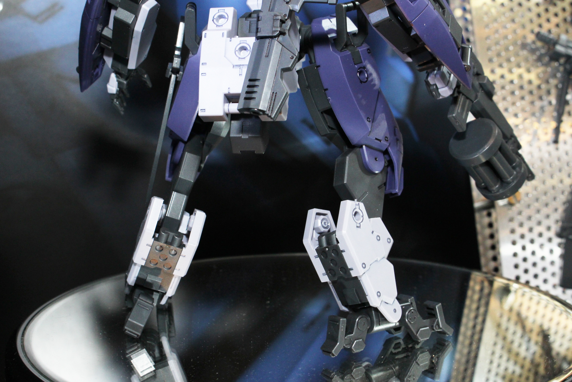 ビャクチの系譜でありながら、関節構造などに進化が見られる