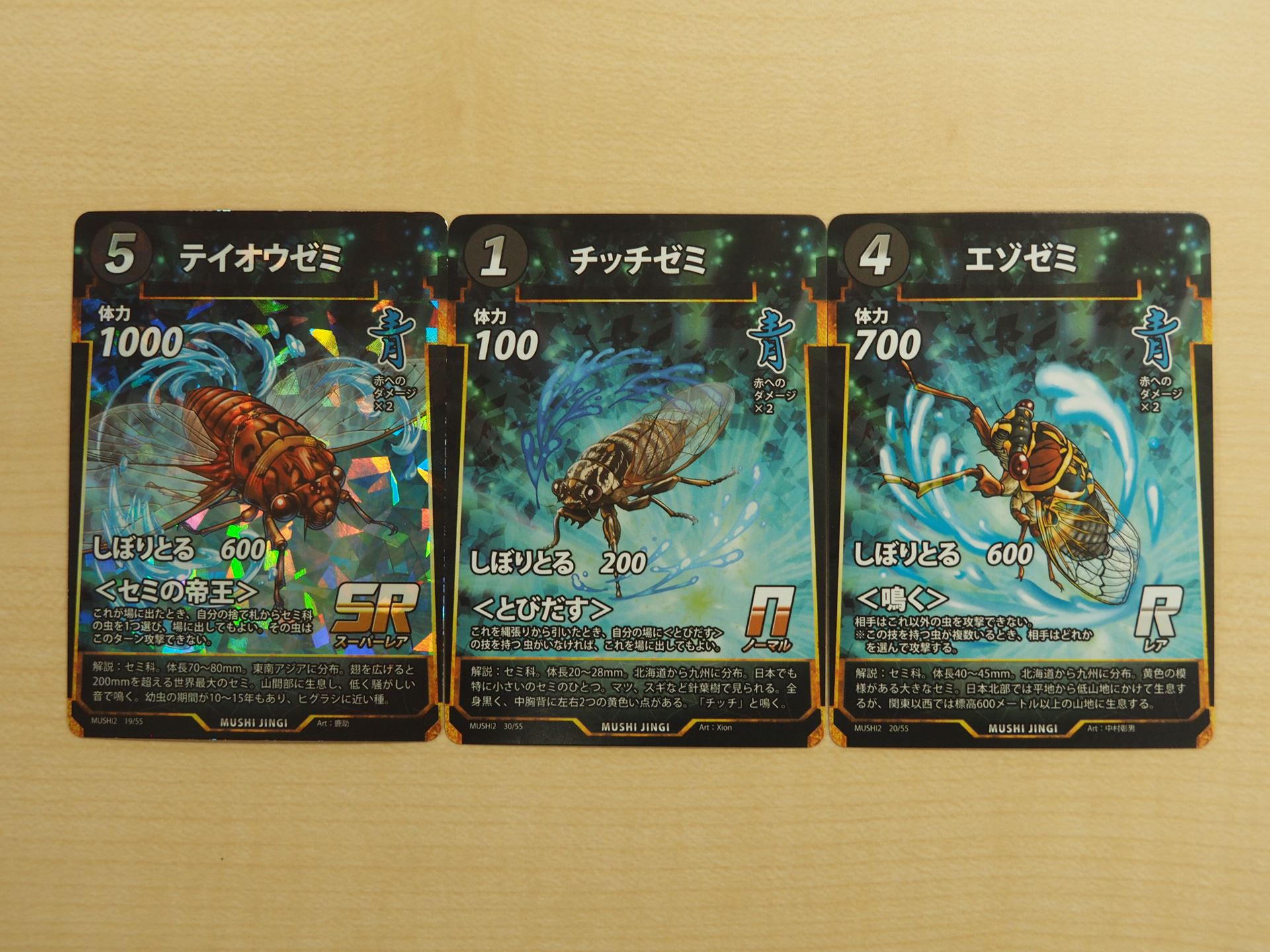 「テイオウゼミ」の＜セミの帝王＞が強い