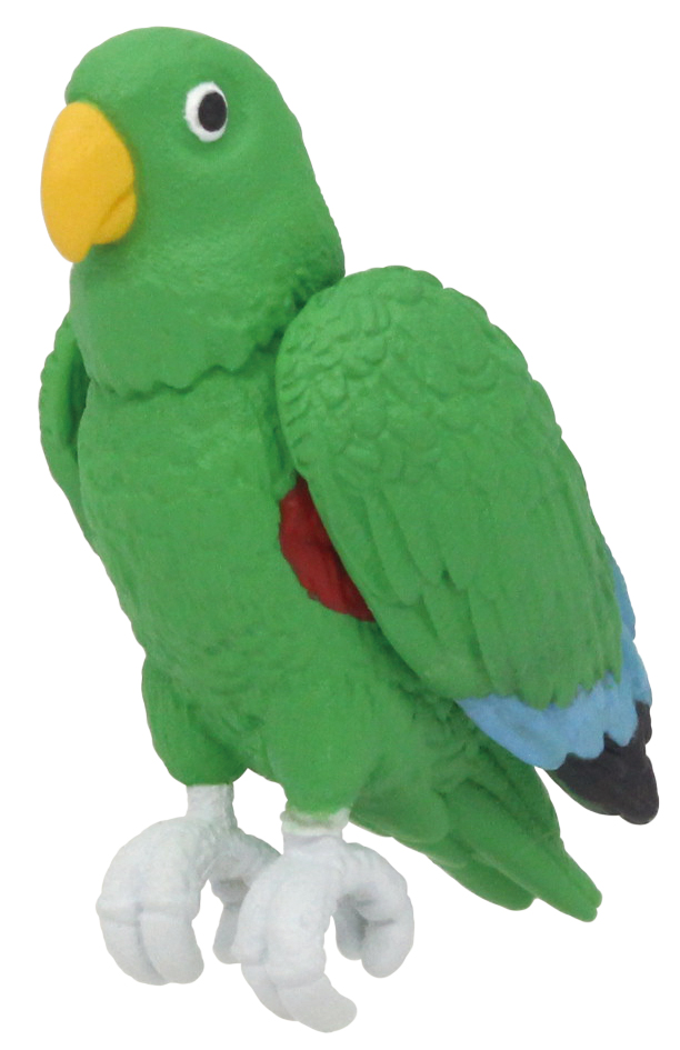 エディ（オオハナインコ）