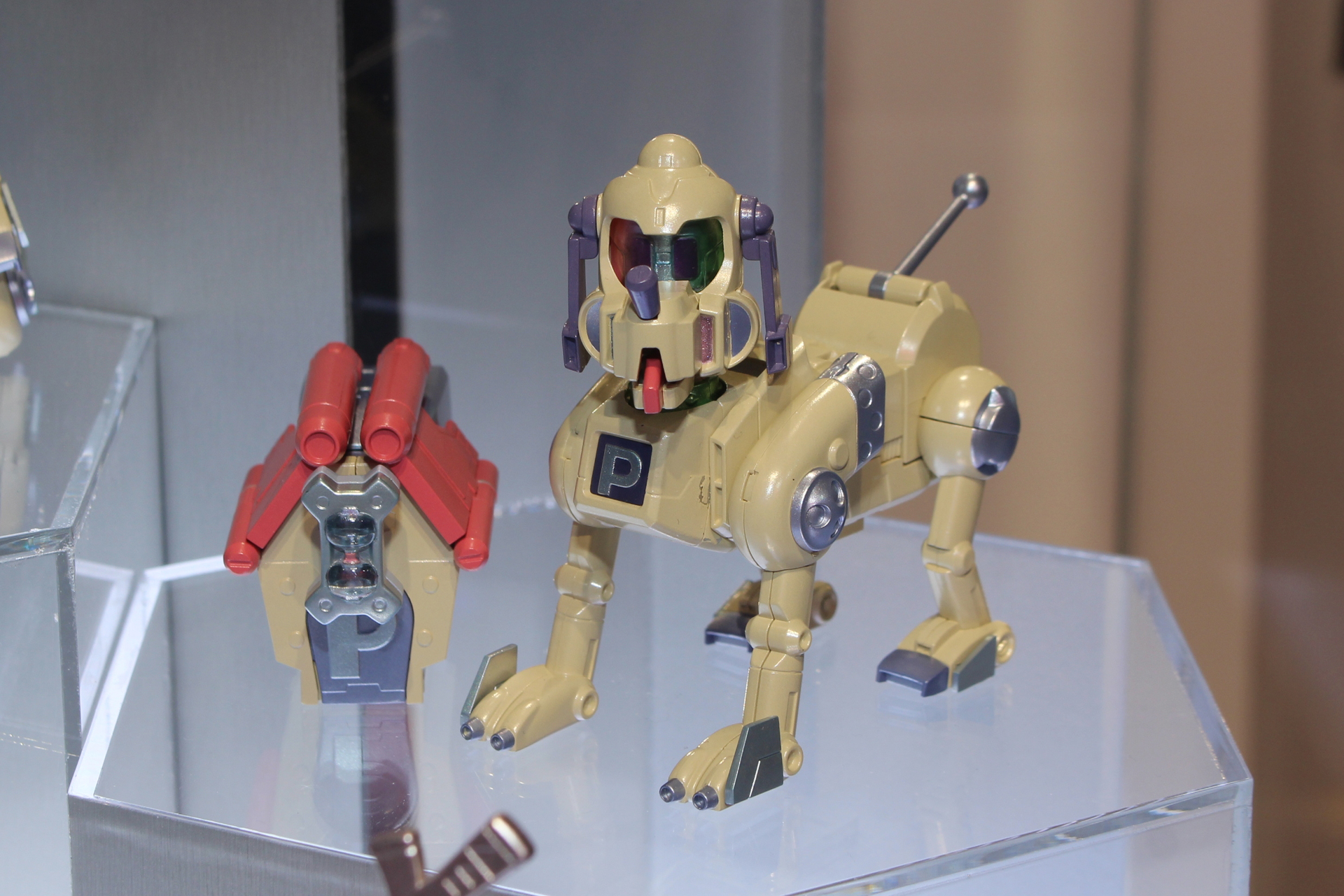 ダッシュプルート＆イヌゴヤ