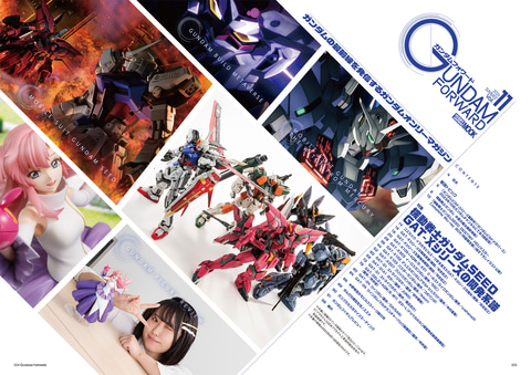 HGガンダムSEED 11種類まとめ売り　新品未開封 本日発売「ガンダムフォワード Vol.11」は機動戦士ガンダムSEED GAT-X