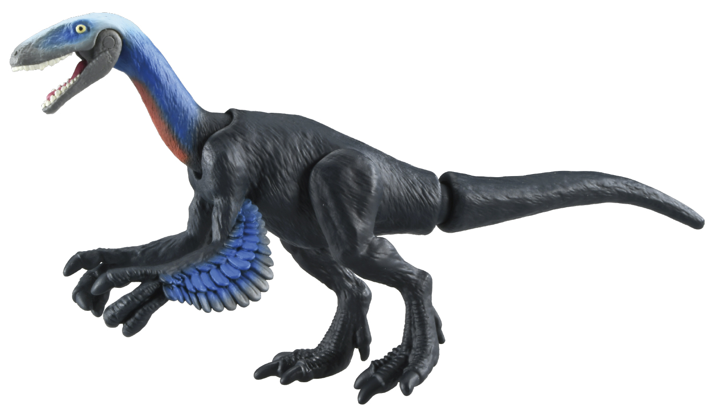 アニア フクイベナートル 福井県立恐竜博物館オリジナルモデル 価格：1,200円 7月14日発売予定