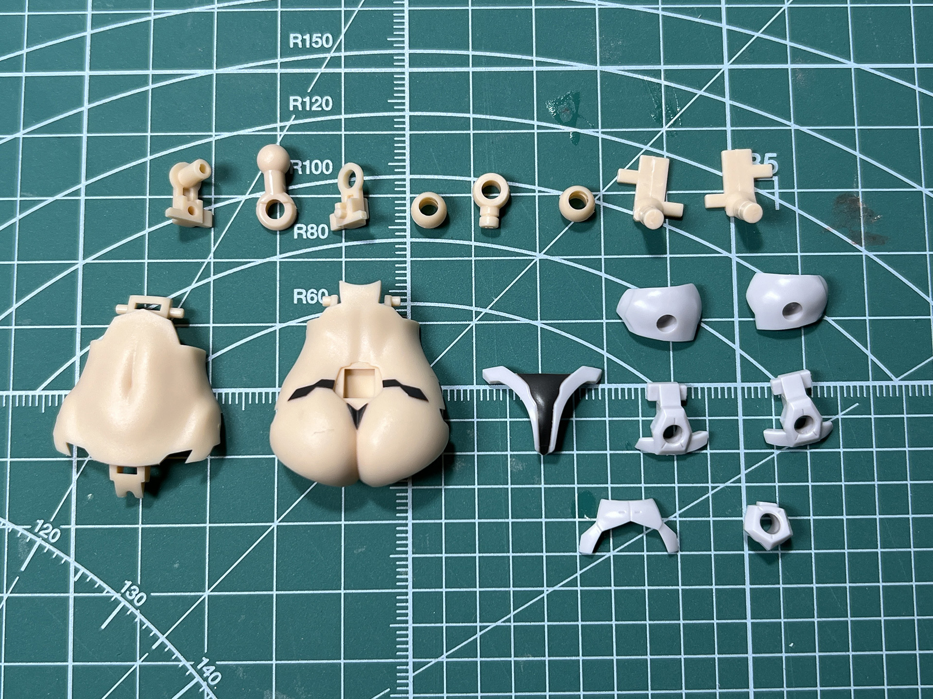 お腹パーツは肌色が多いが、サイドに軸受けを備えており拡張性のあるものとなっている