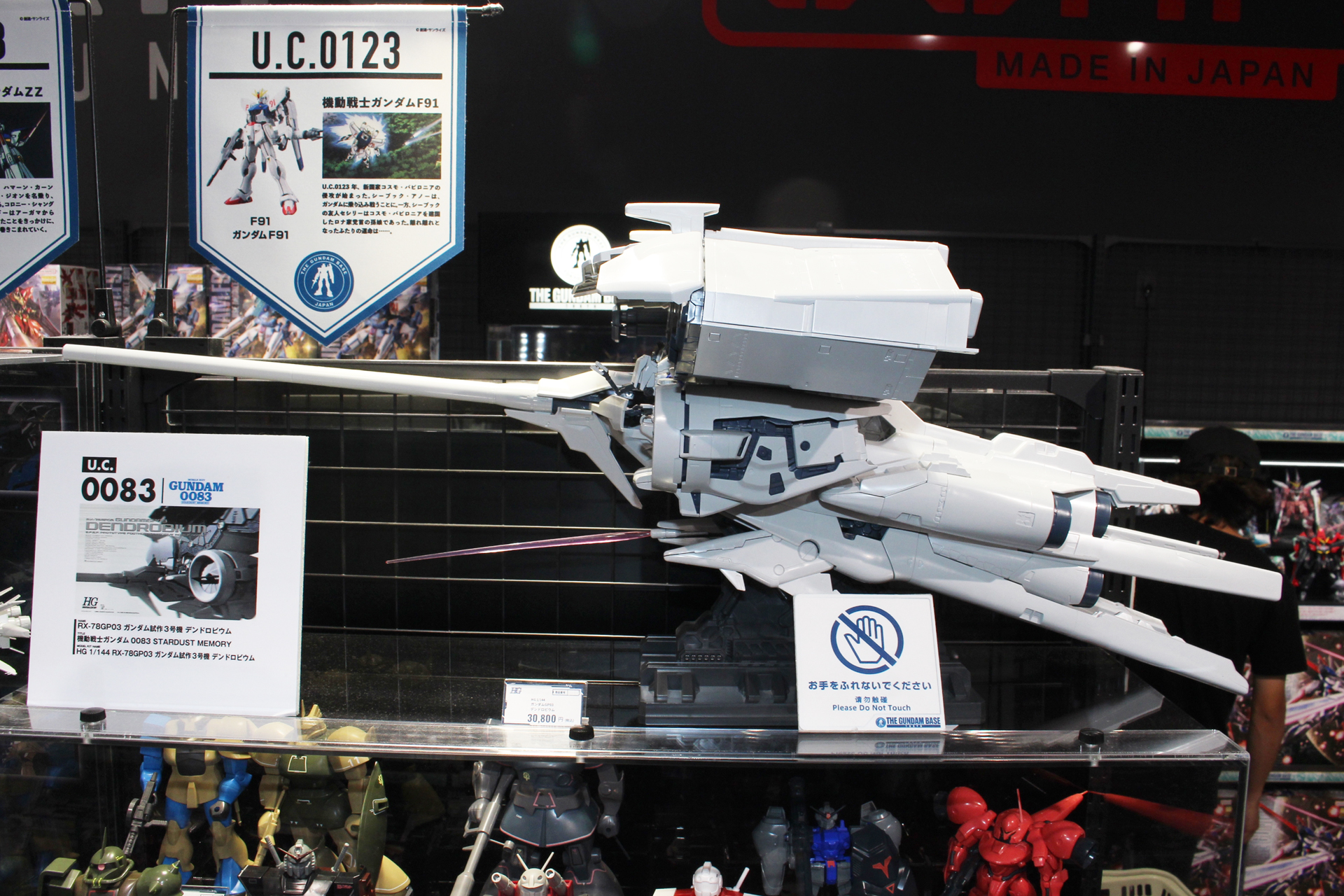 横から見た姿も実に美しい