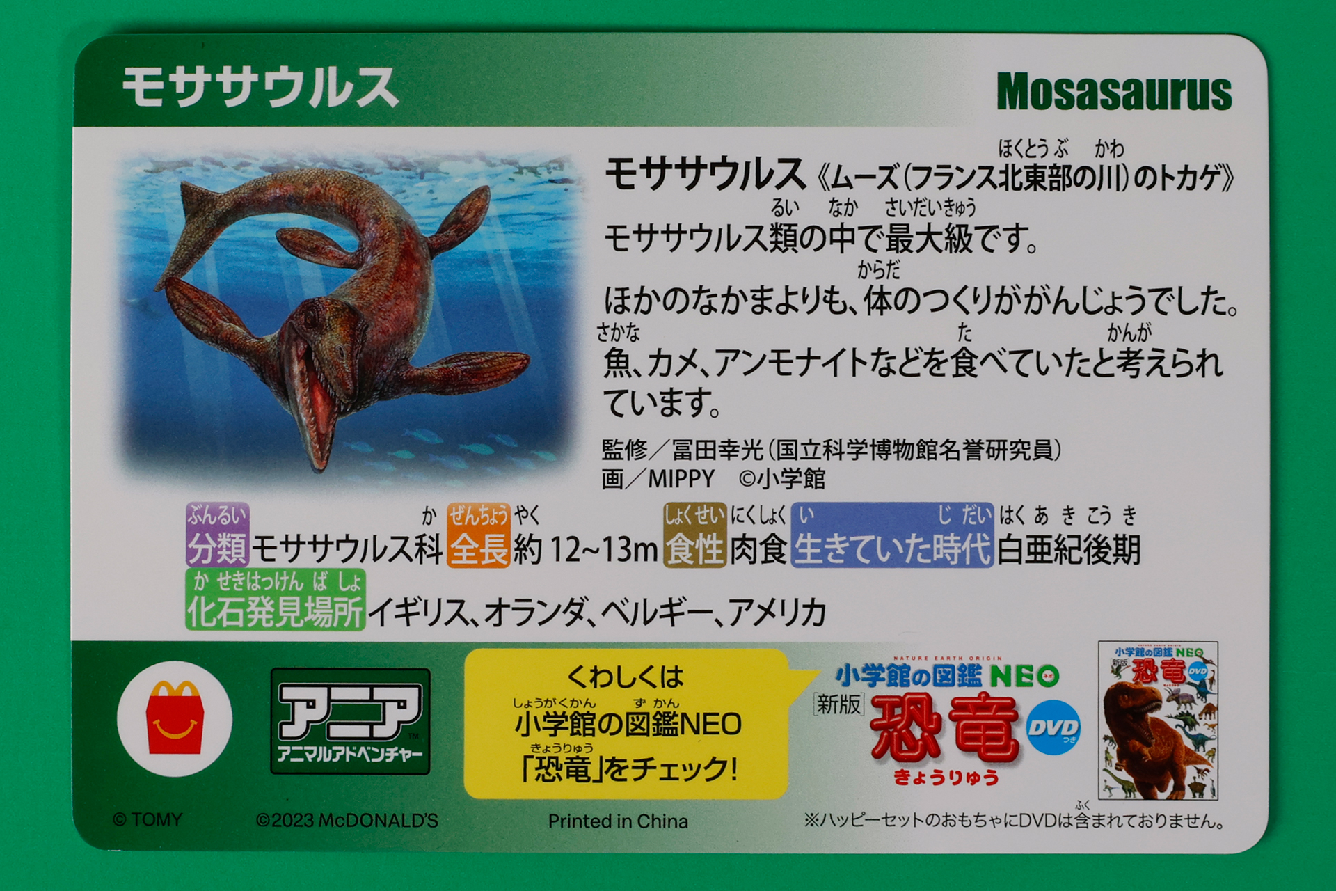 モササウルスの詳しい生態などが書かれたカードも同梱されている