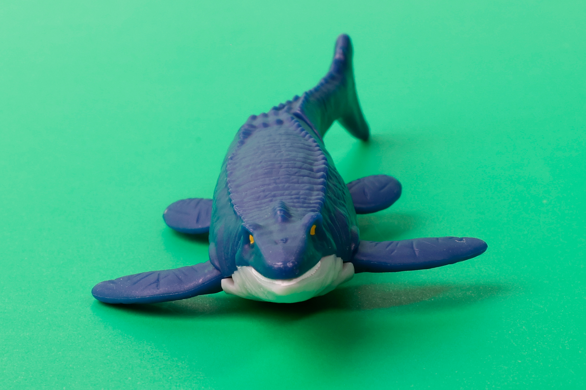 ぱっと見はワニのような風貌をしている