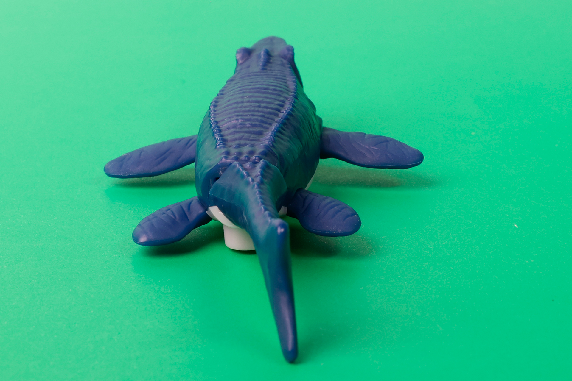 青いボデイもなかなか魅力的だ