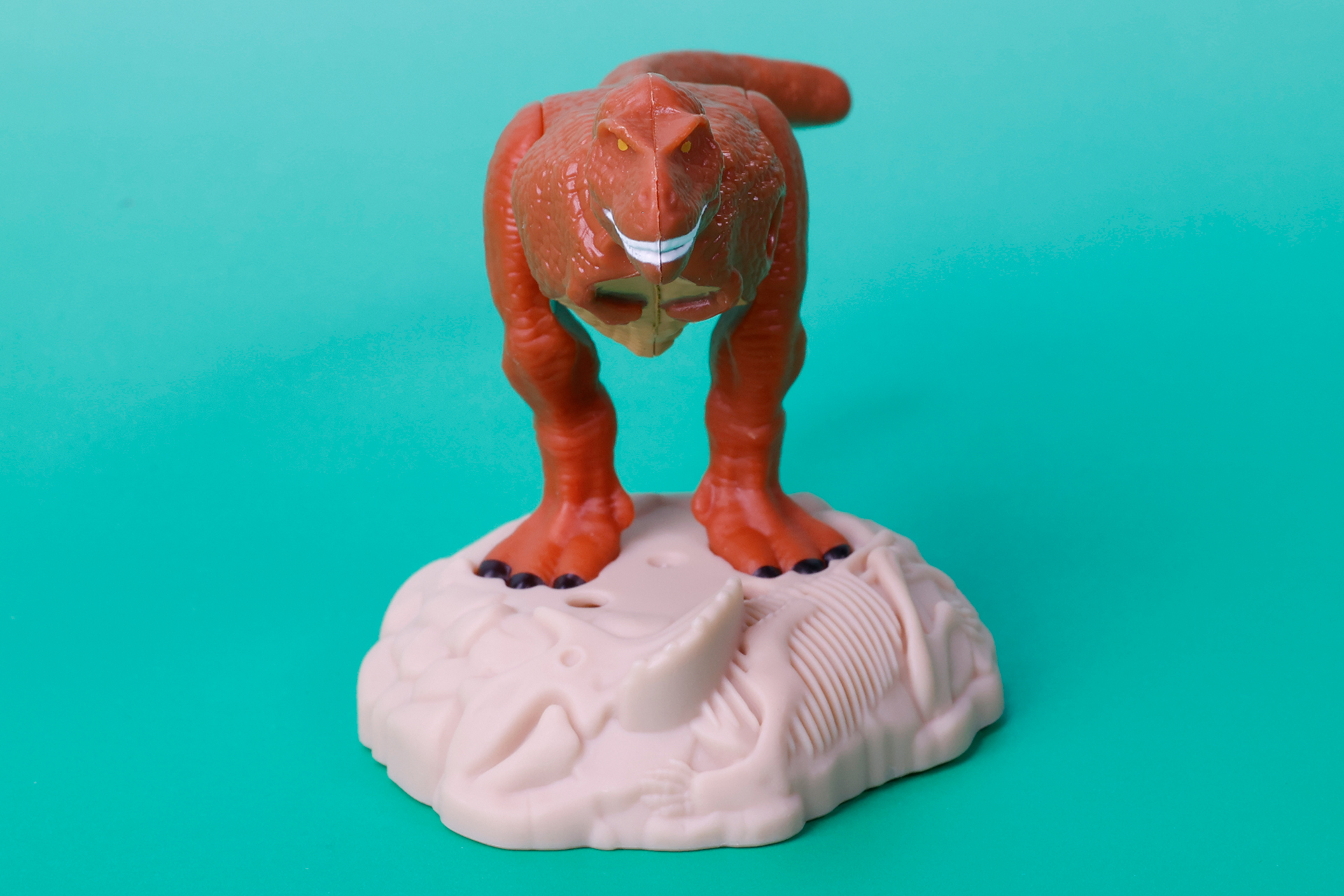 まさに恐竜の王といった風貌だ